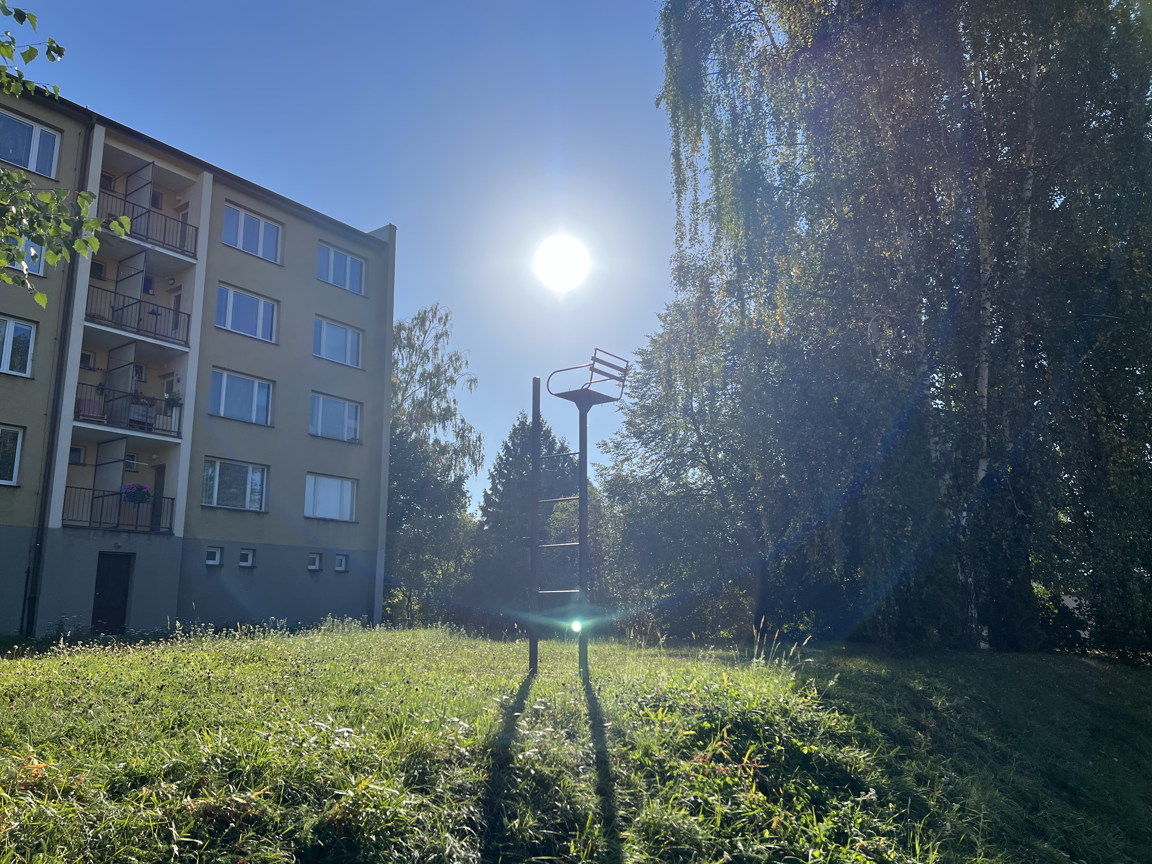 apartment building sunlit trees