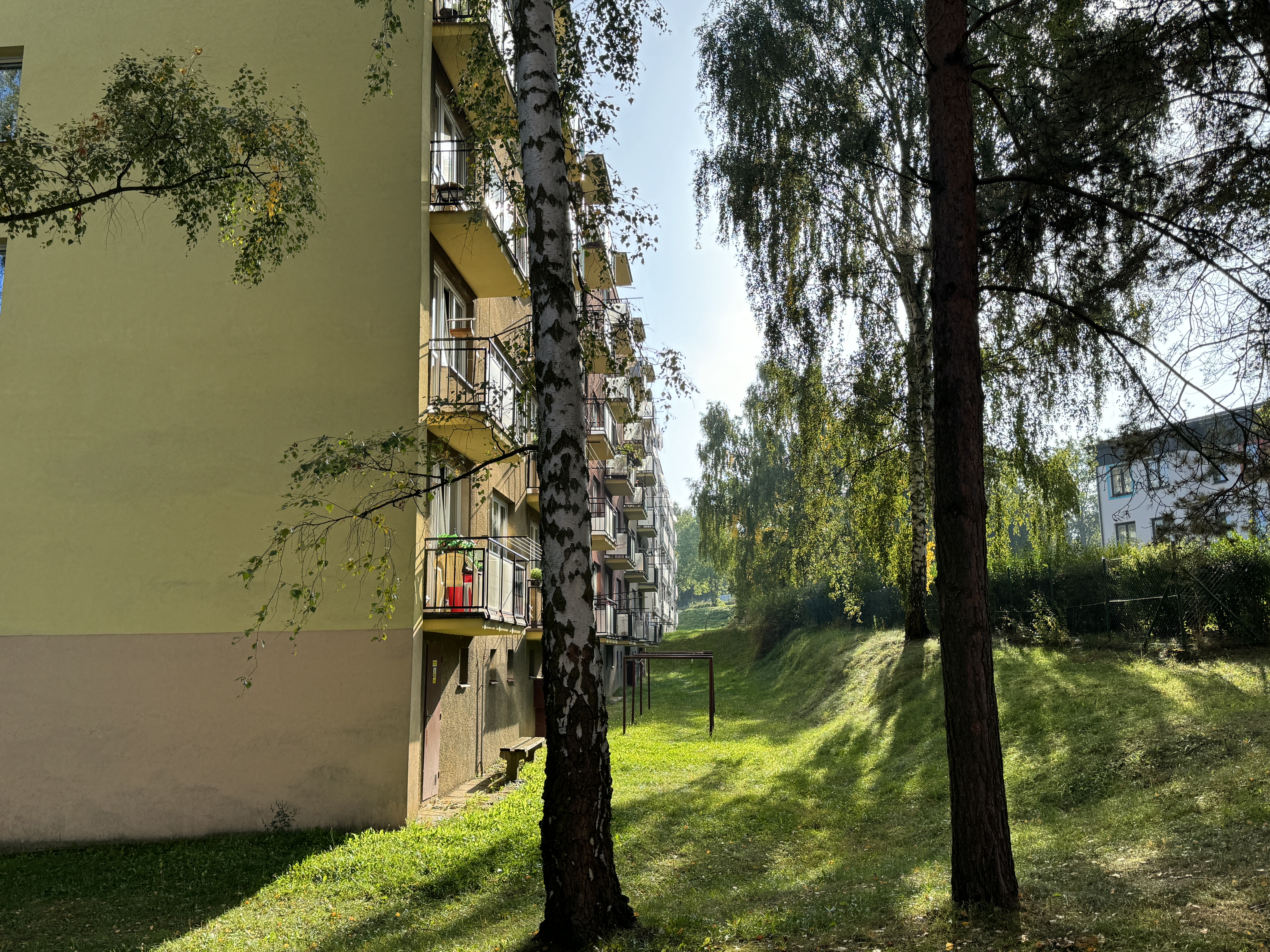 apartment building trees sunlight