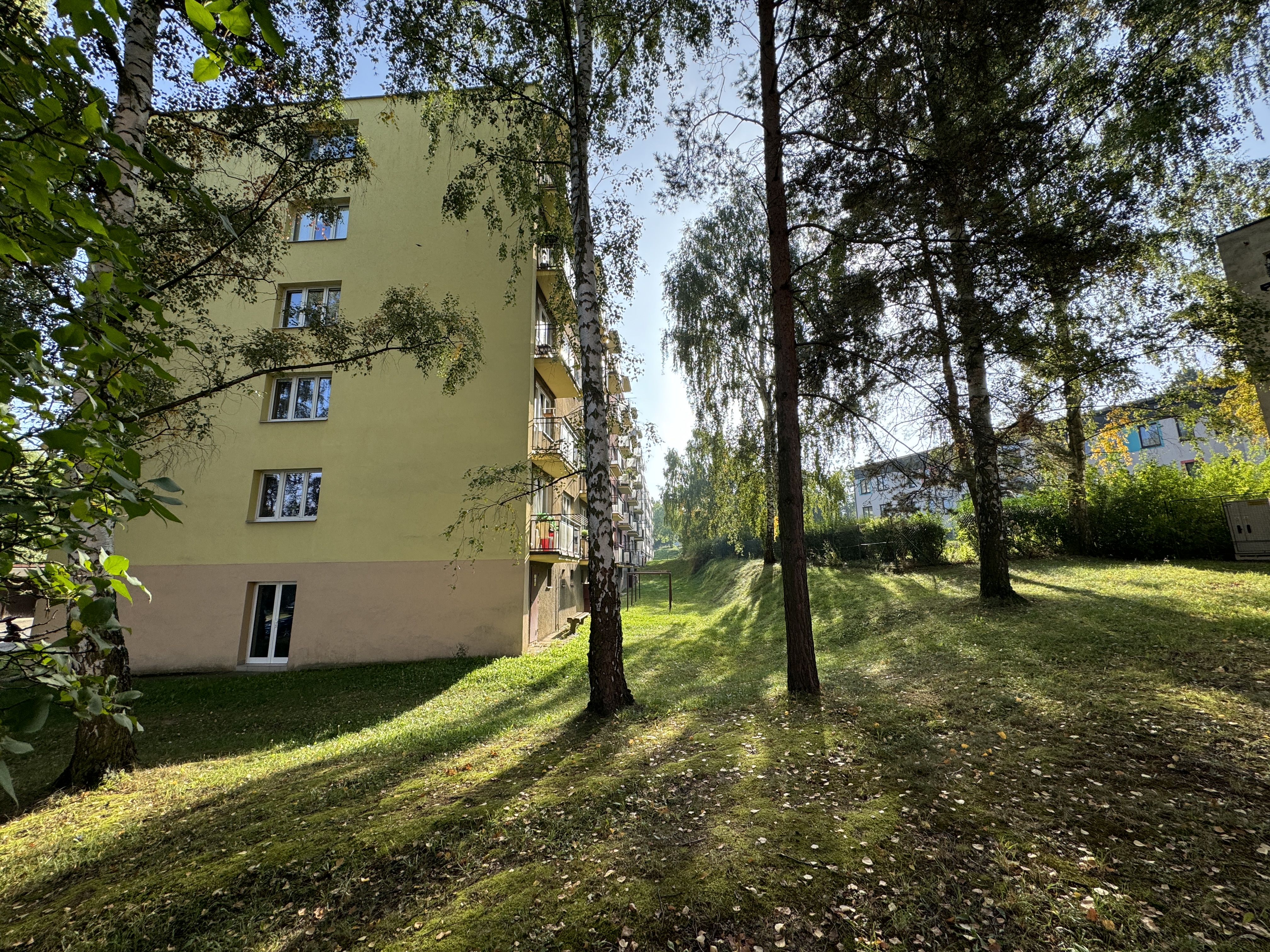 apartment building trees