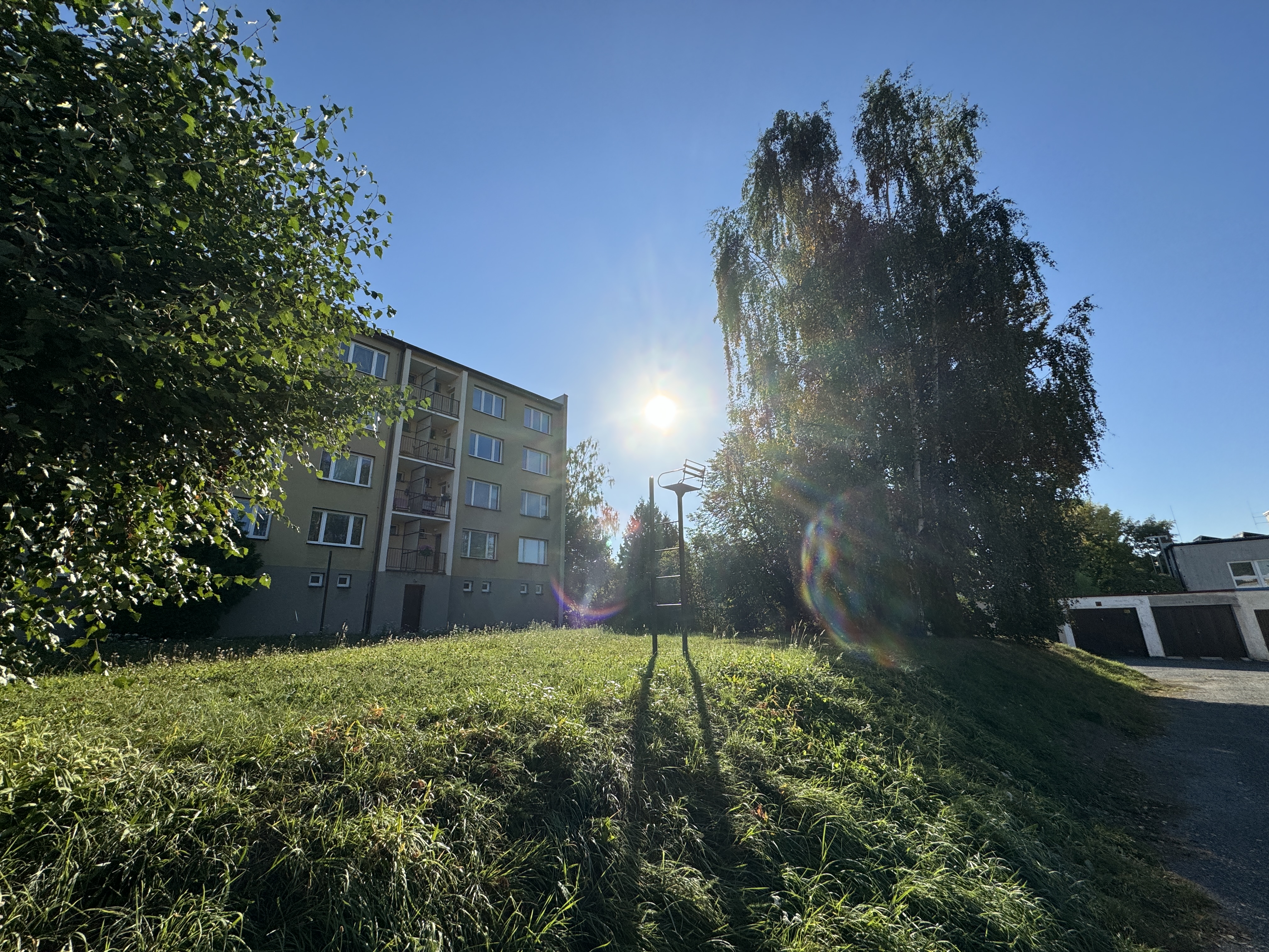 apartment buildings sunlight trees
