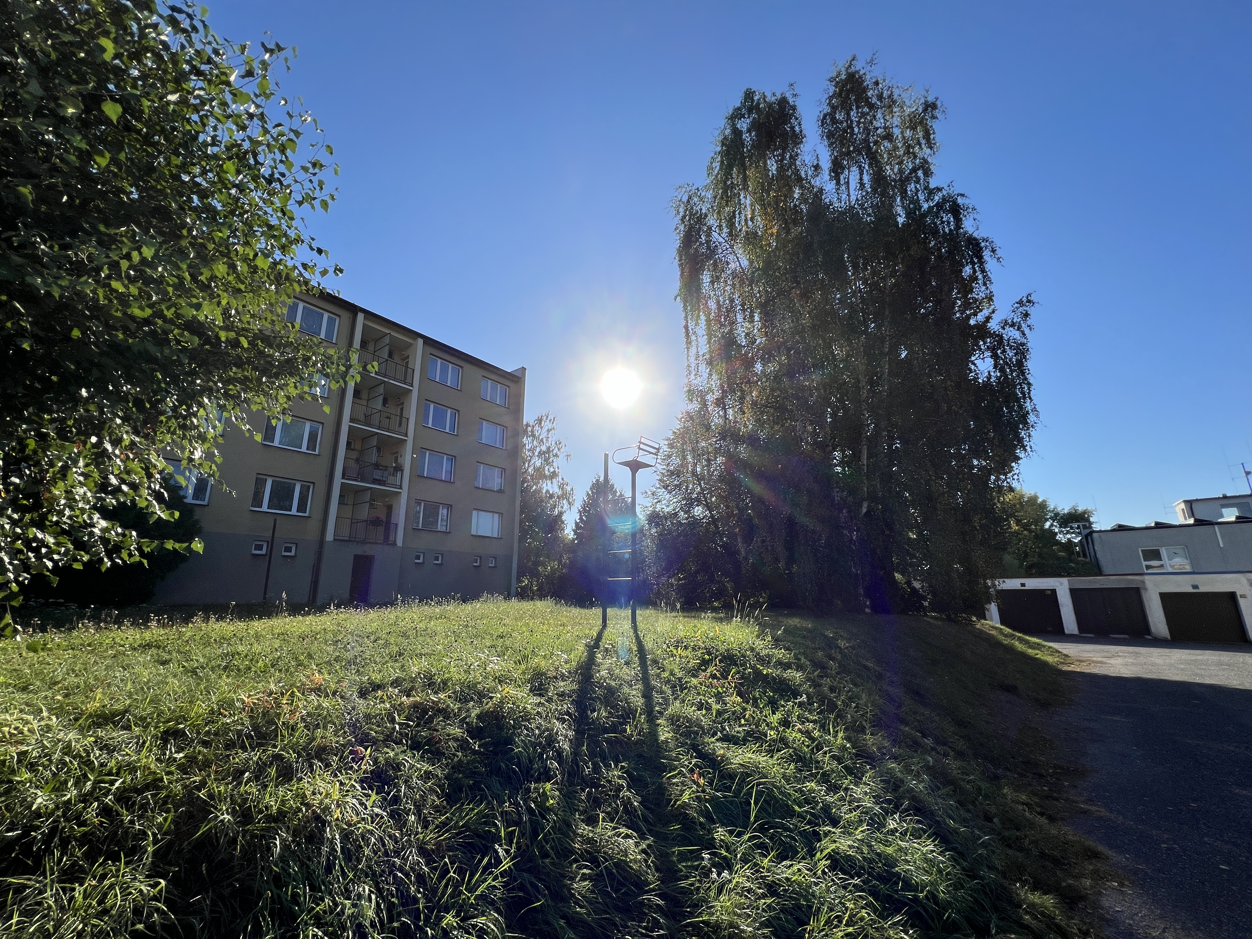 apartment buildings sunlit trees