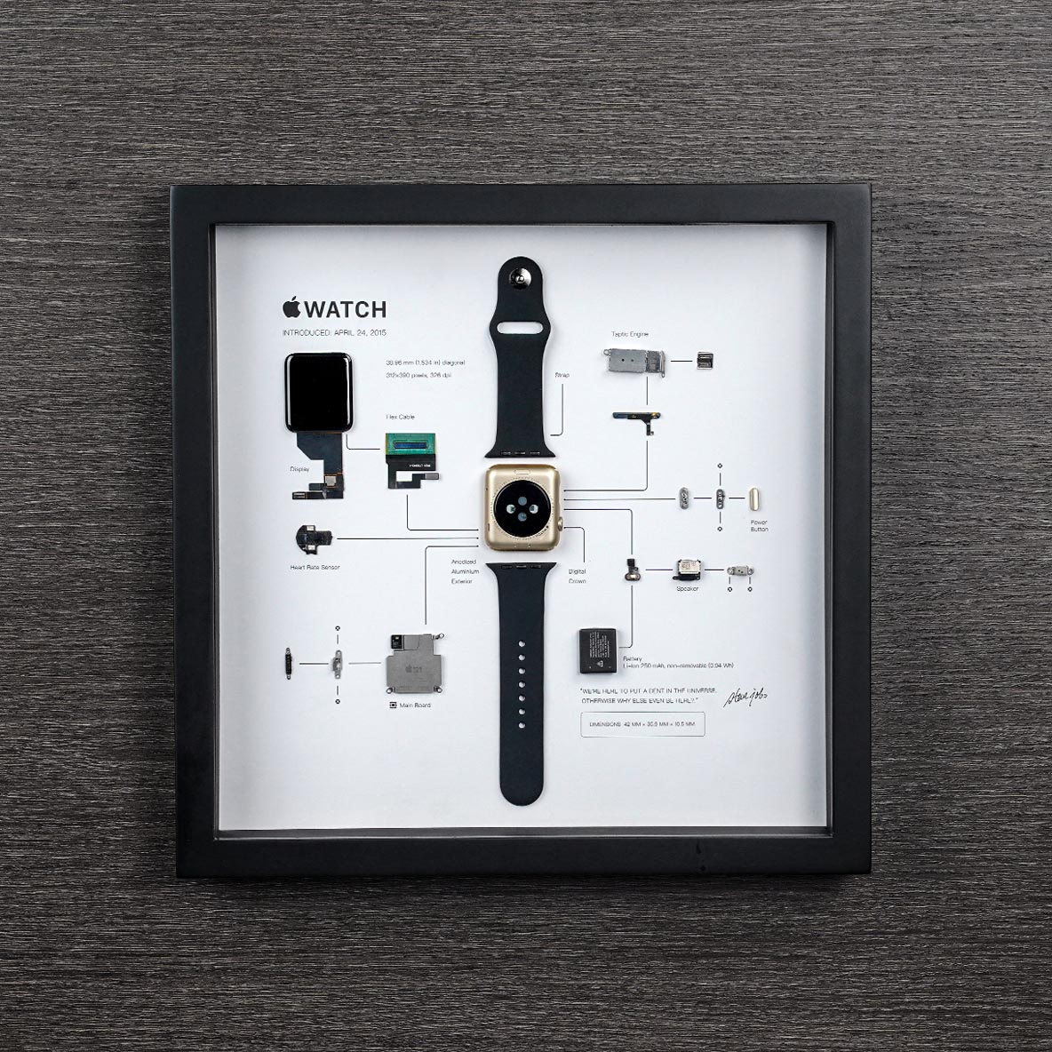 apple watch disassembled frame