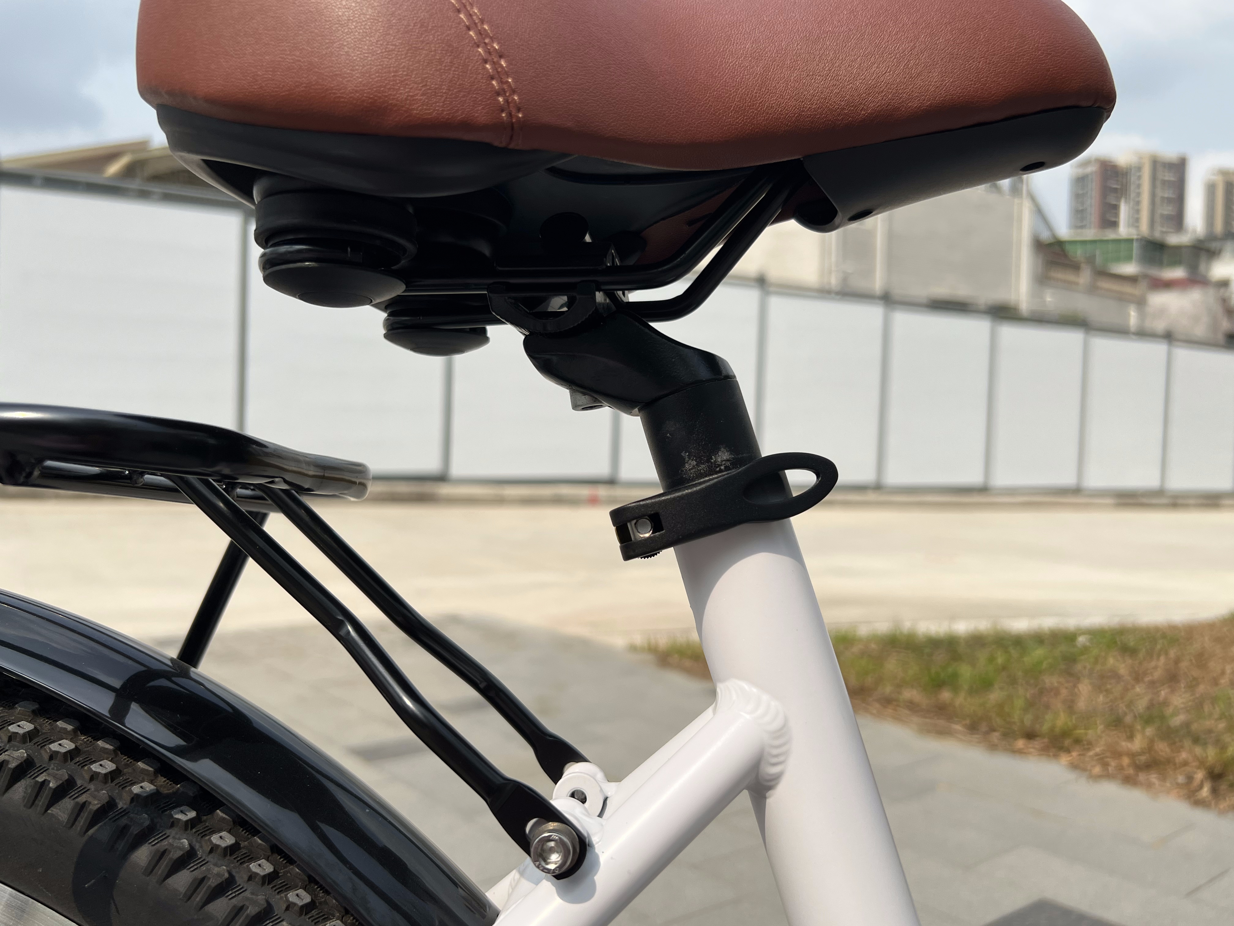 bike seatpost and rack