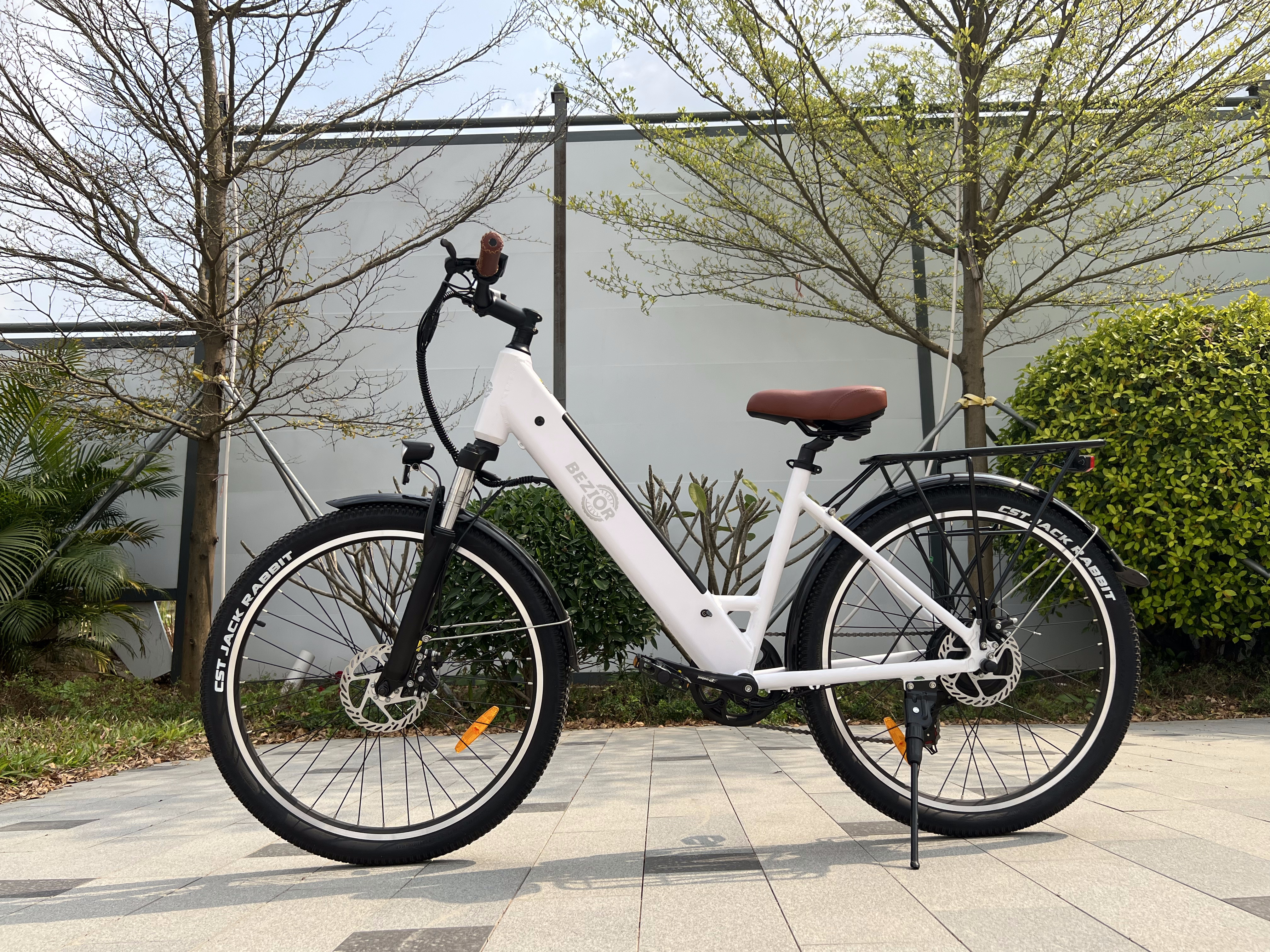 bike side view trees