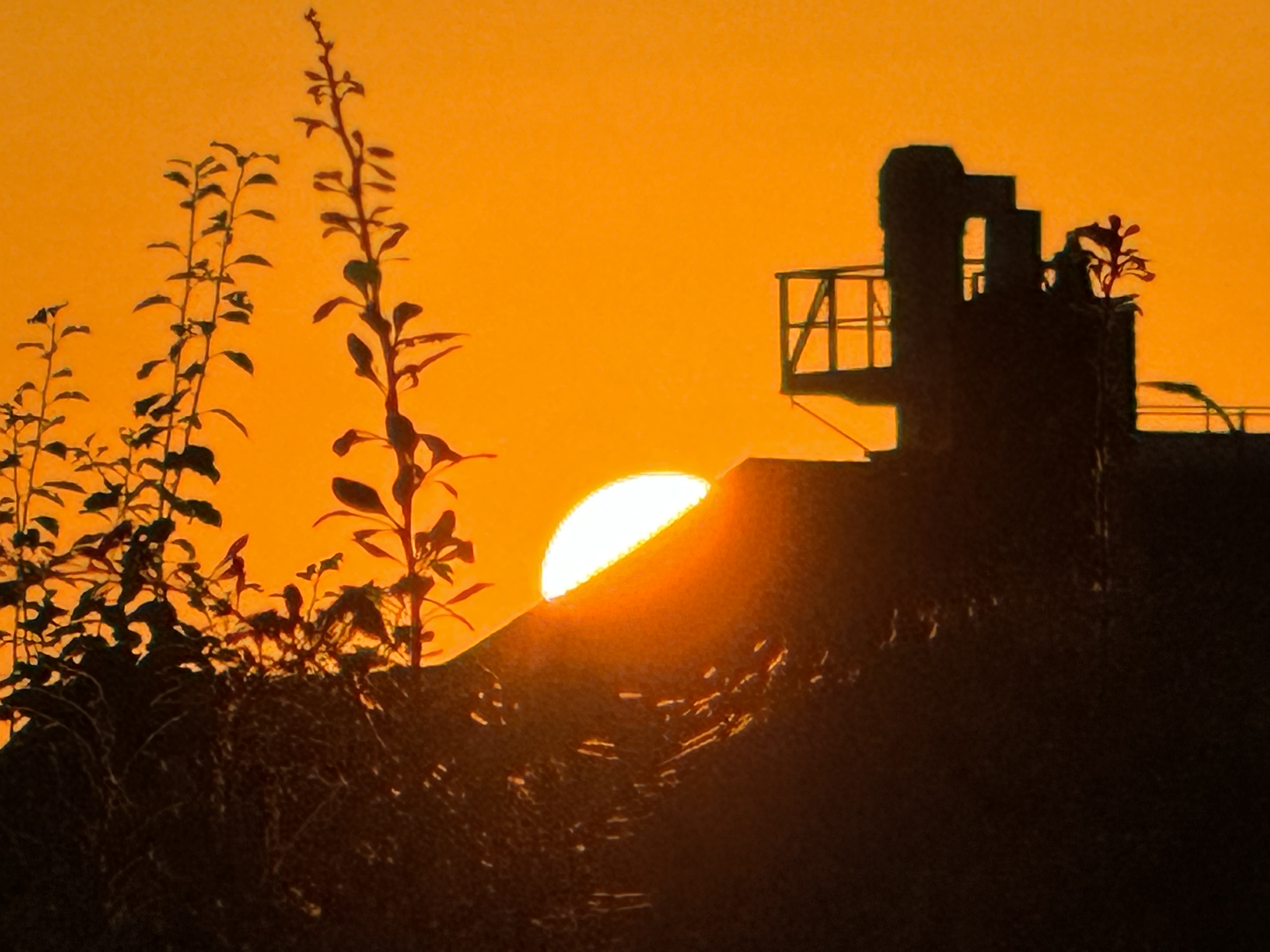 closeup sunset behind building