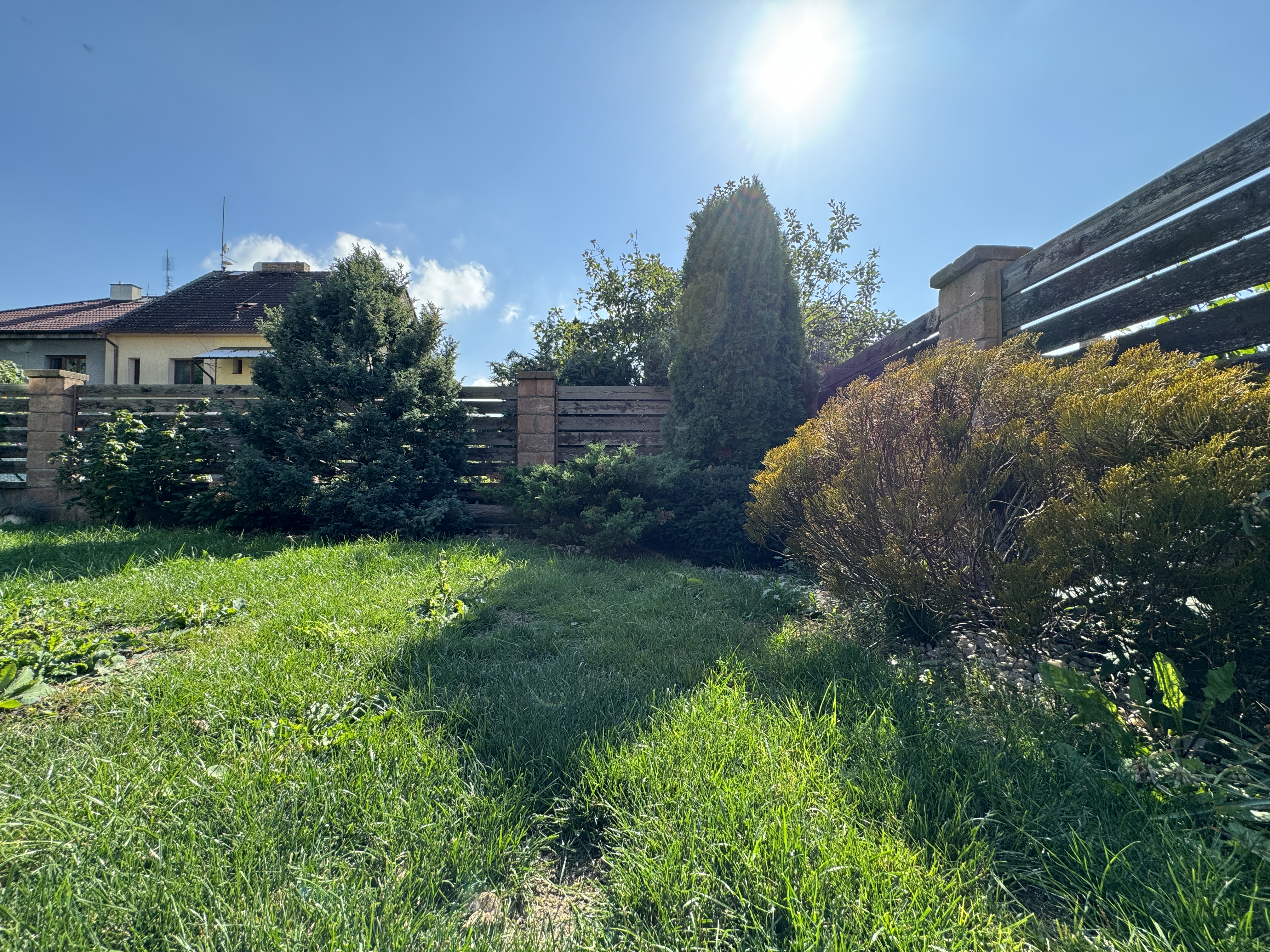 collection of smartwatches