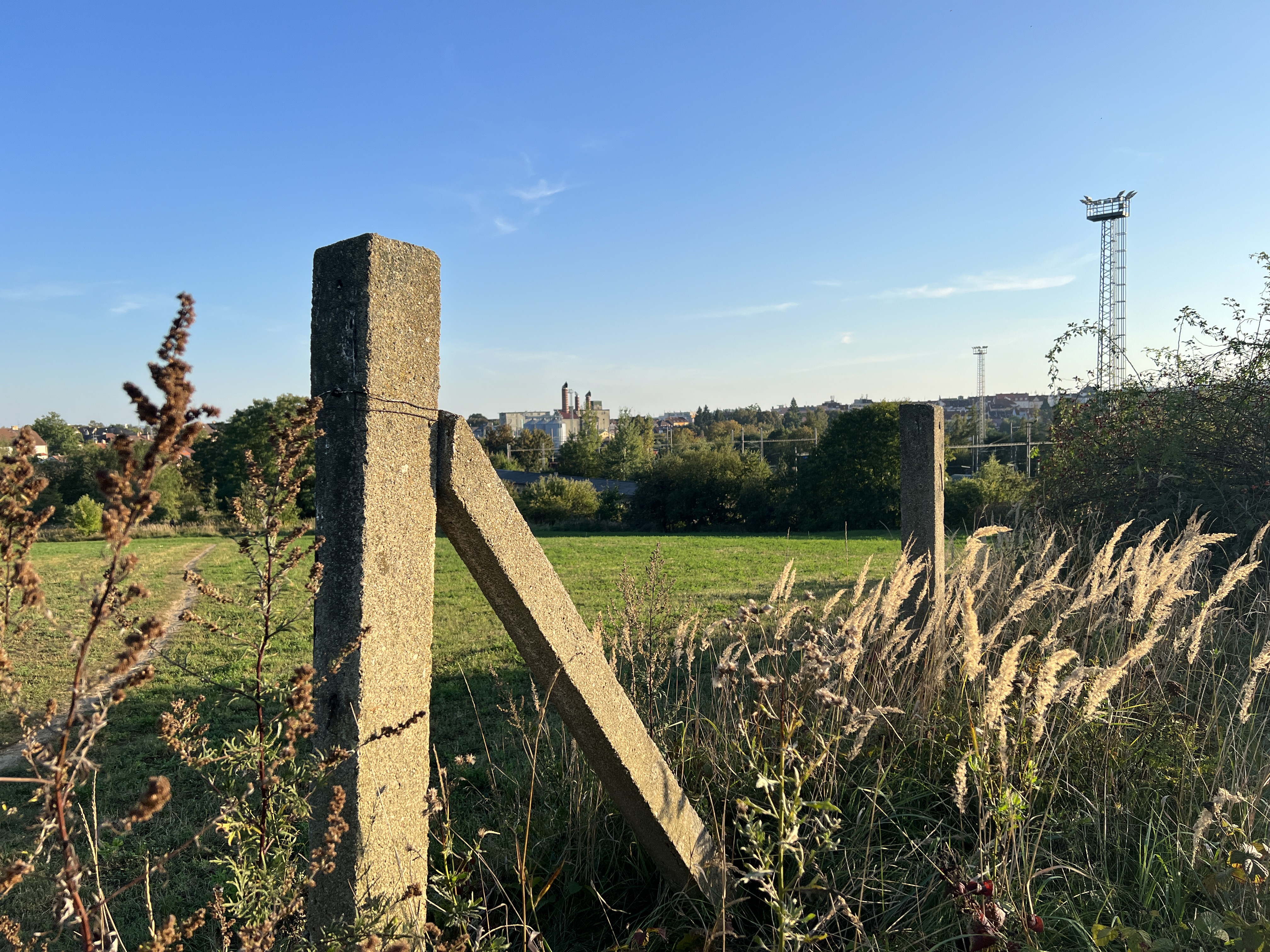 concrete posts field