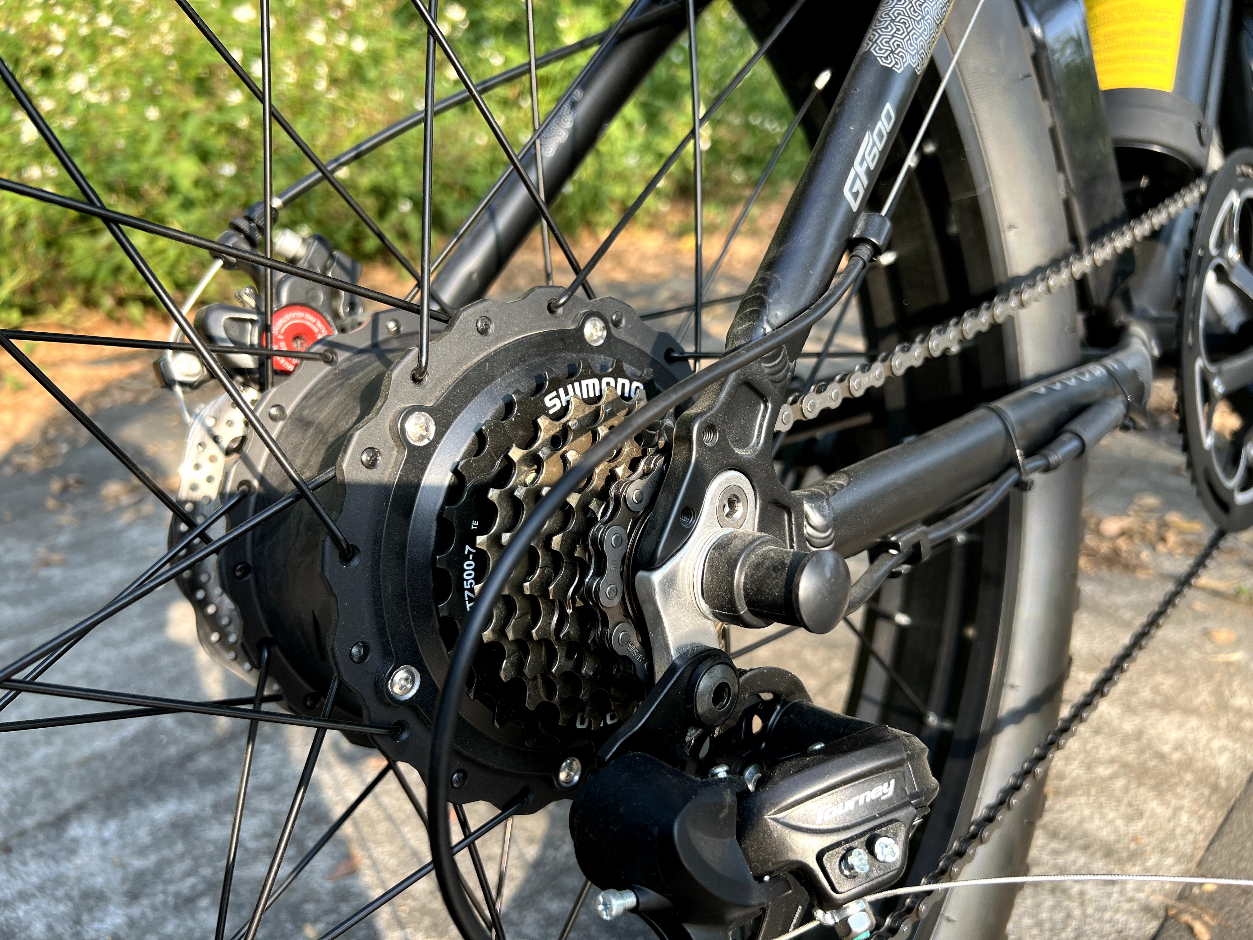 electric bike rear gear system
