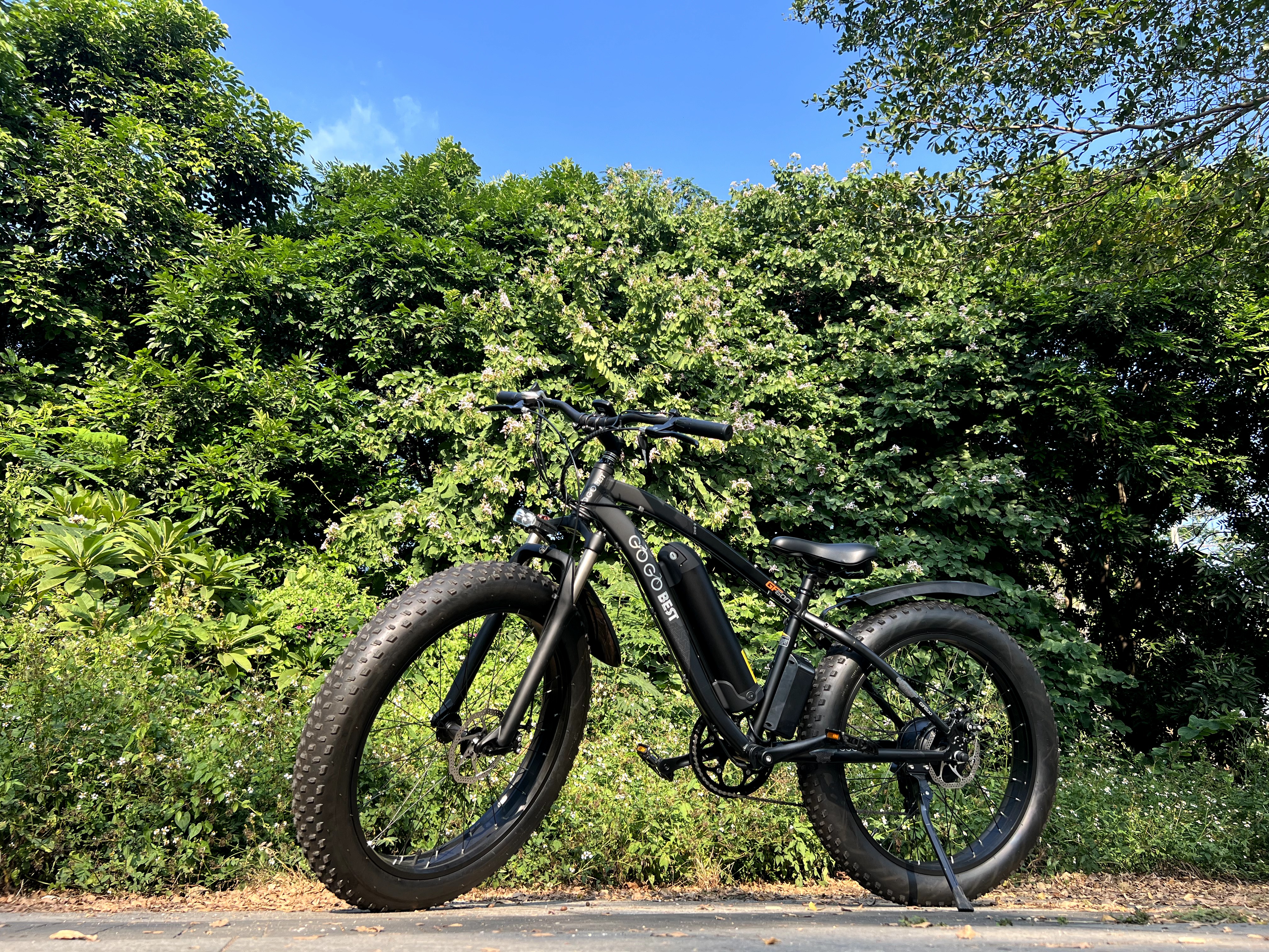 fat tire electric bike side view