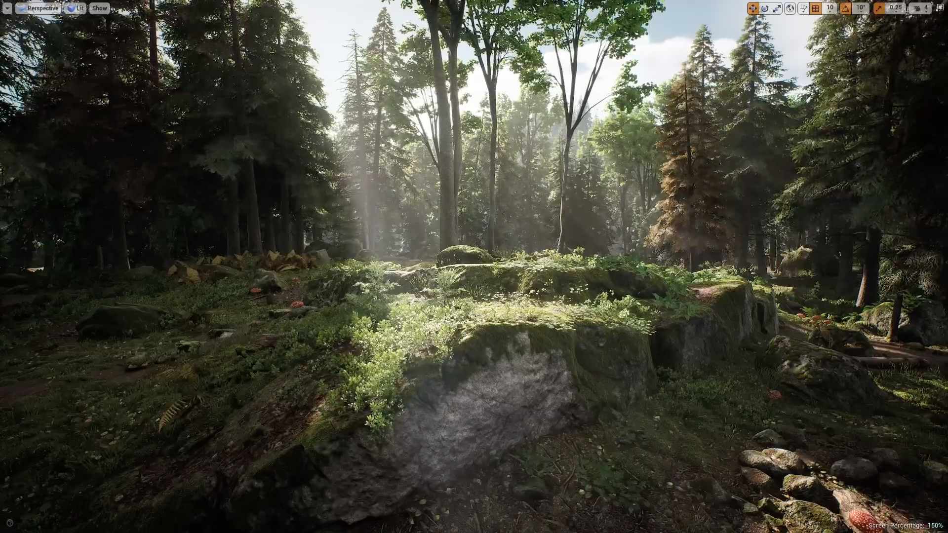 forest sunlight scene