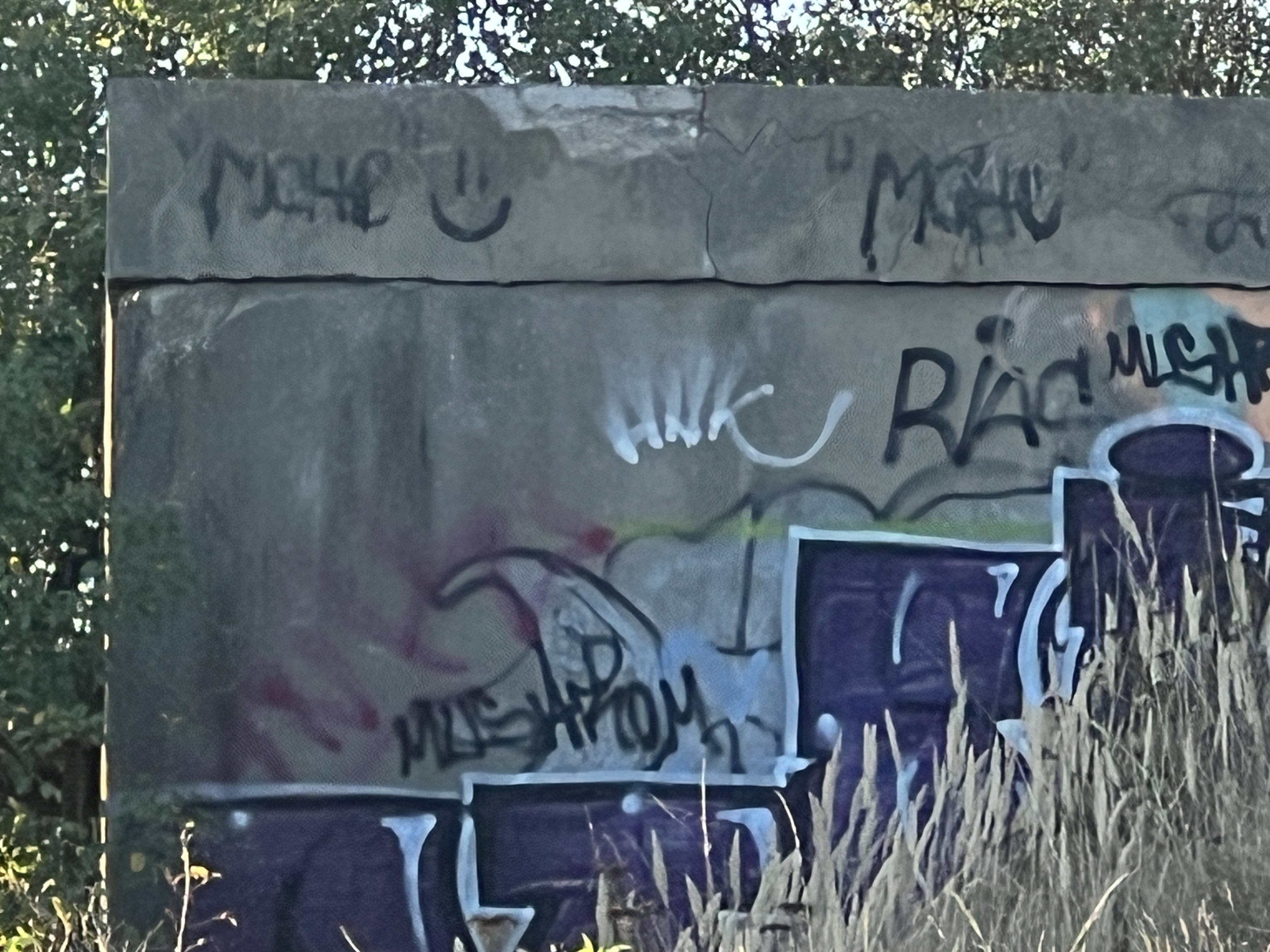 graffiti on concrete wall