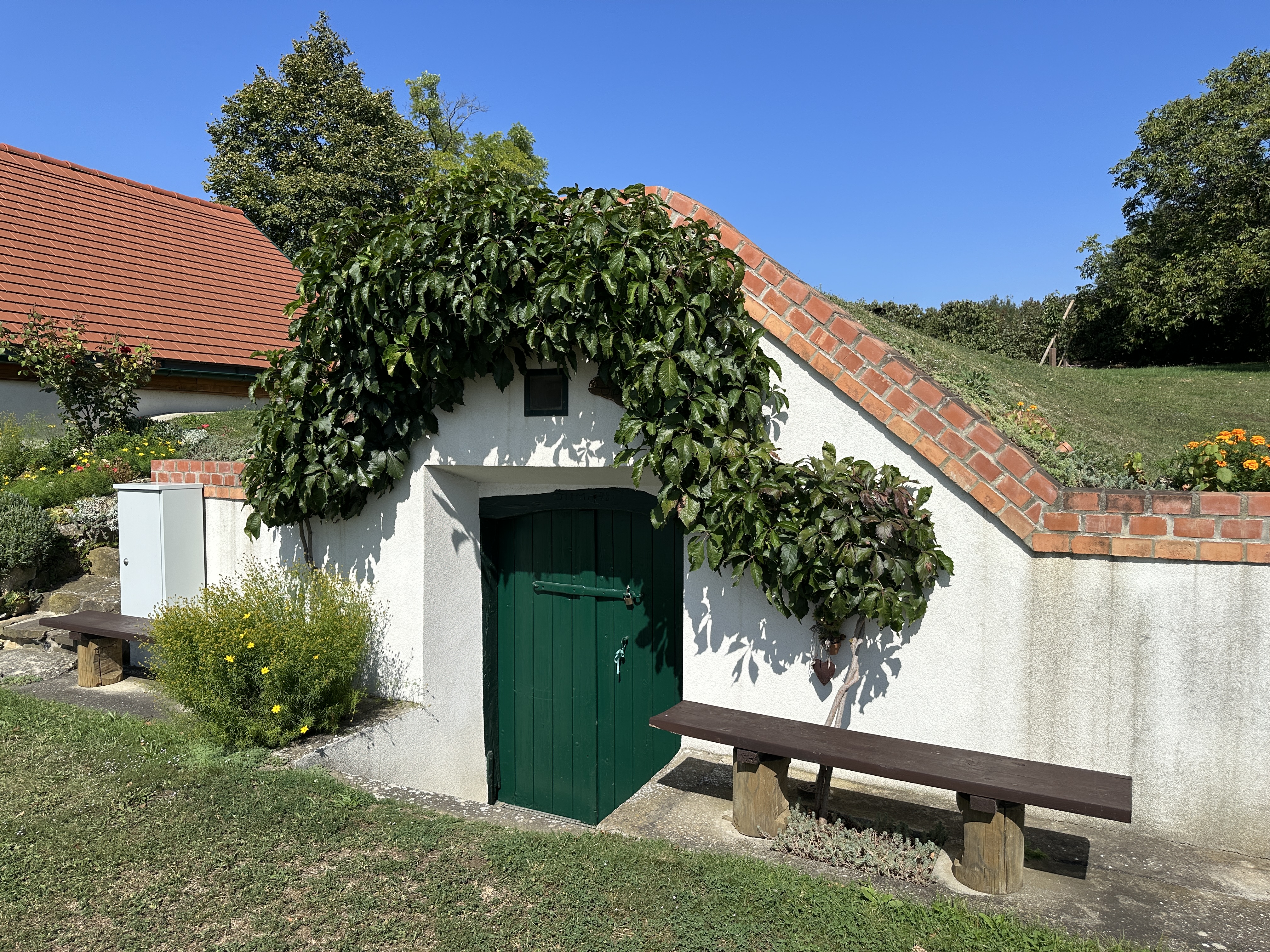 green door cellar