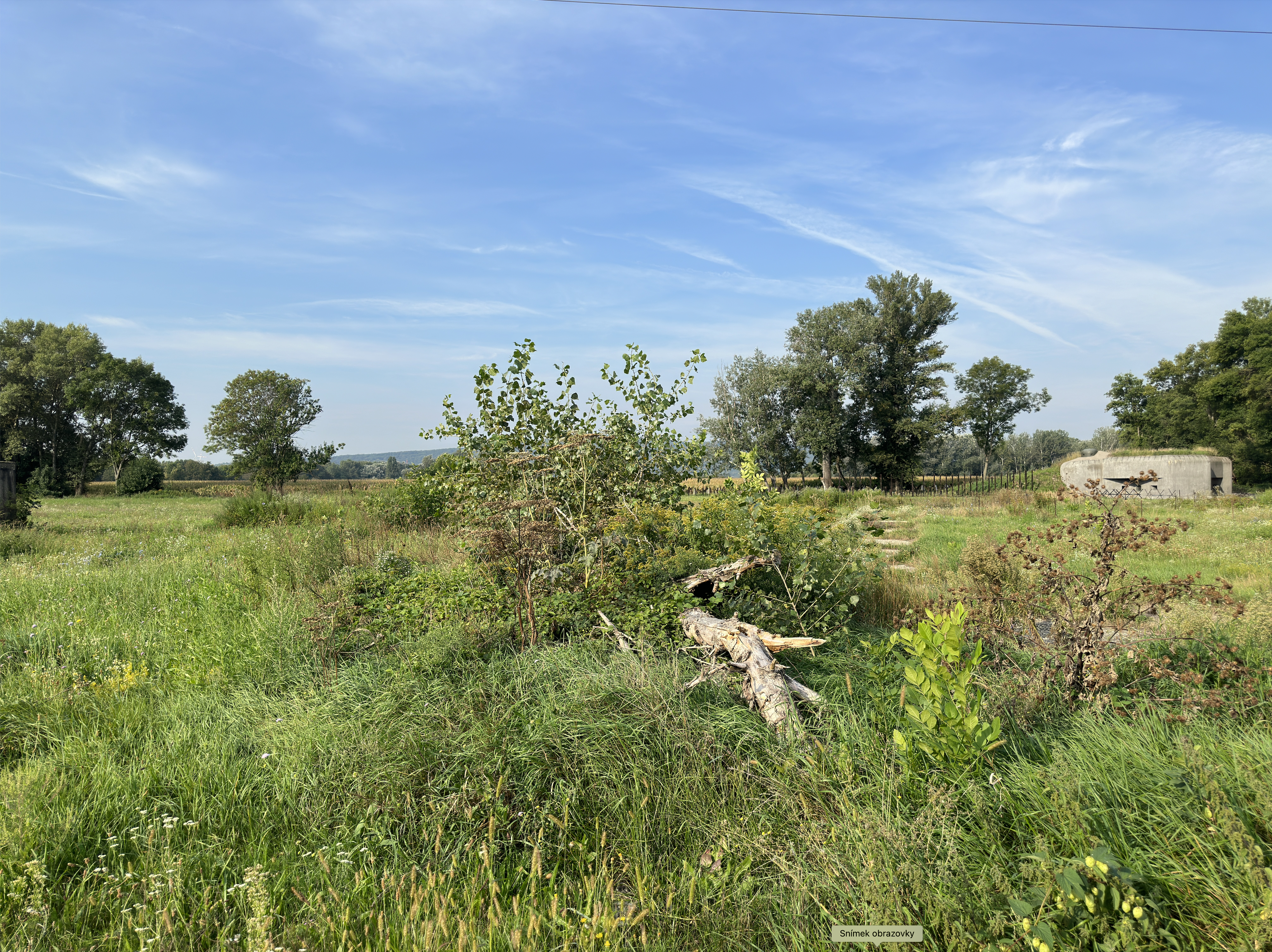 green field landscape