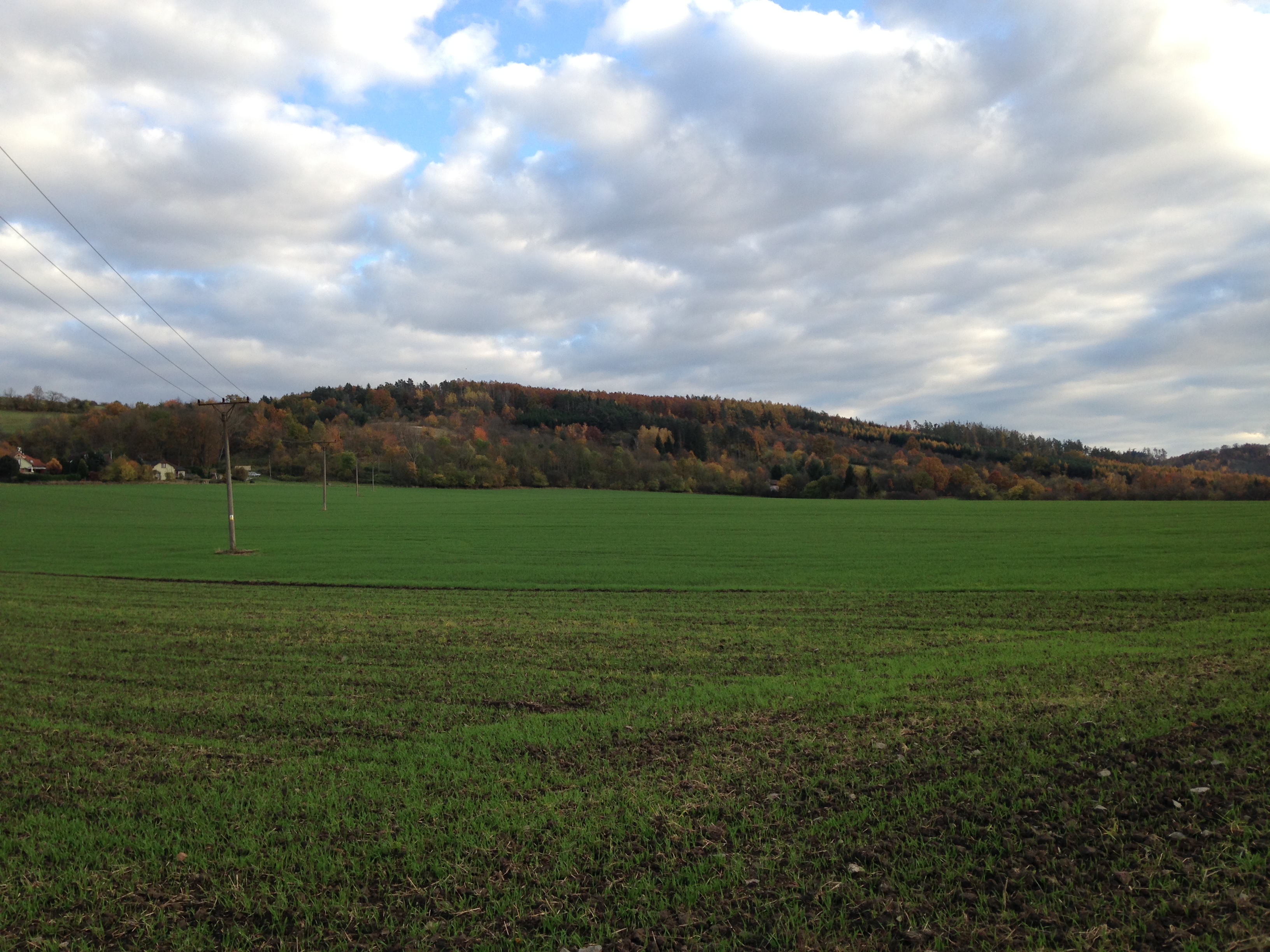 green field under cloudy sky