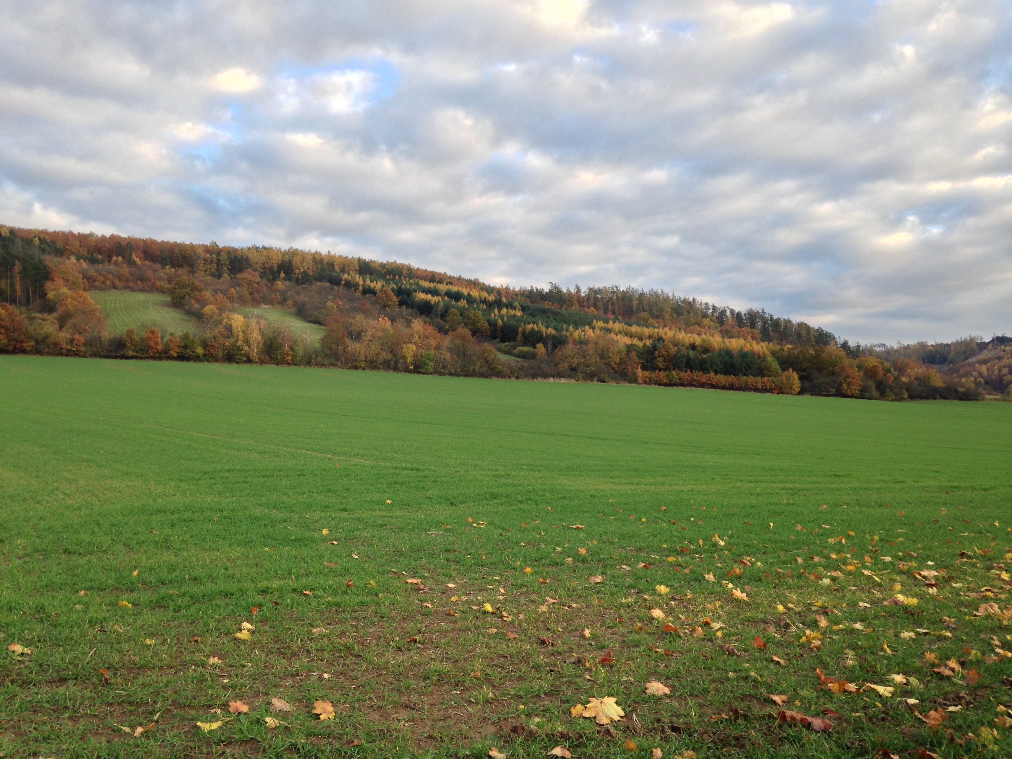 green field with hills