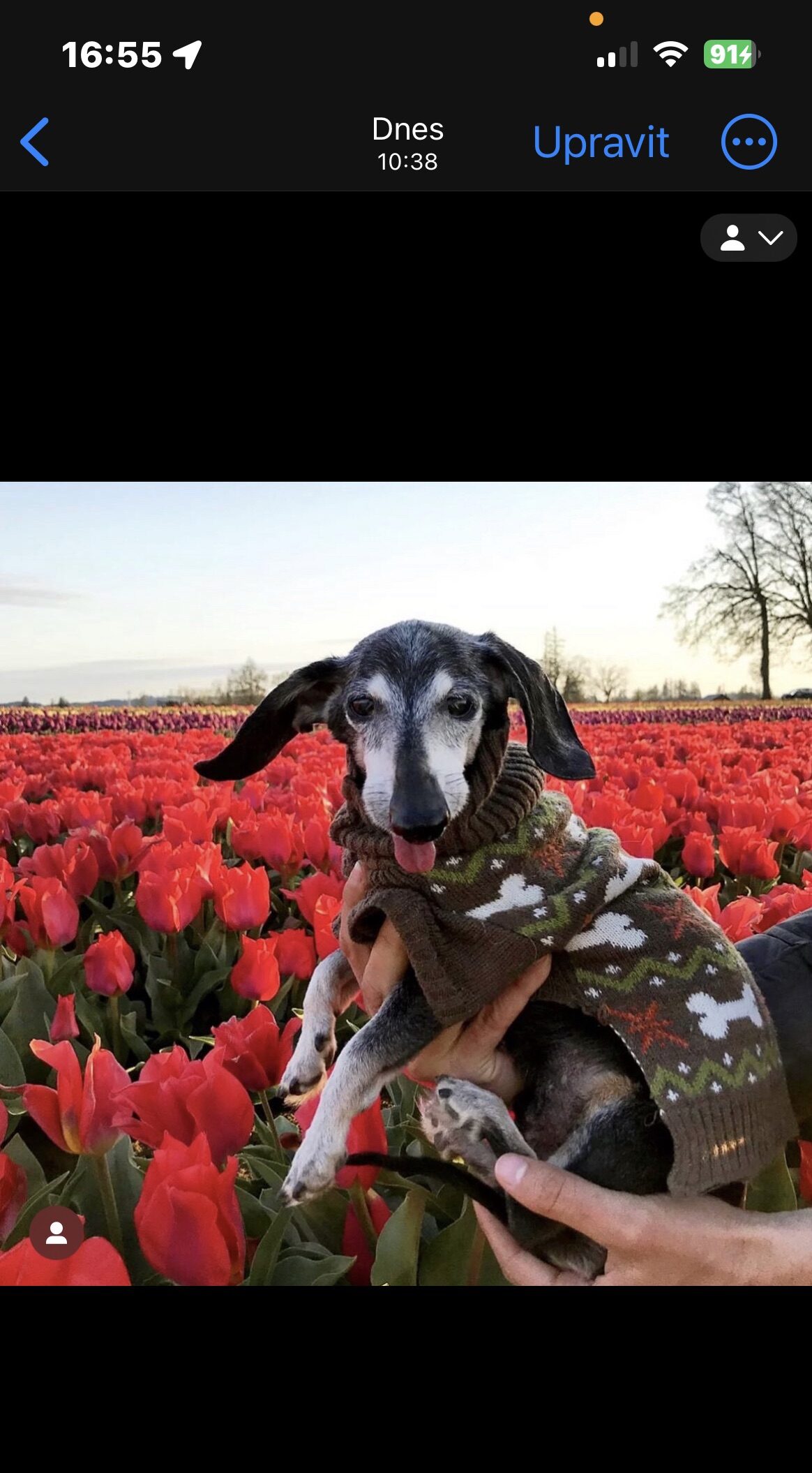 iOS Nechte si poradit od Siri 1