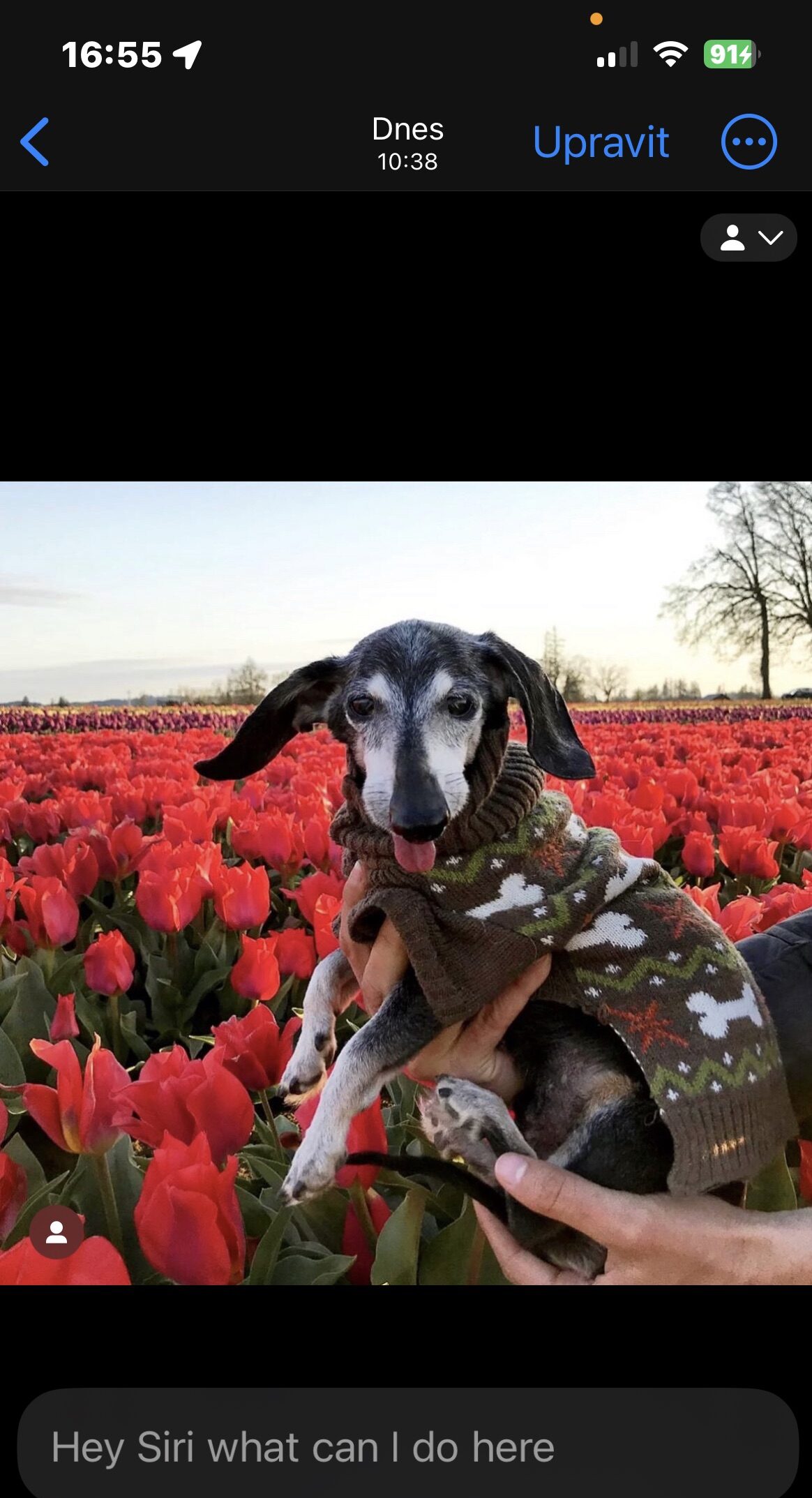 iOS Nechte si poradit od Siri 2