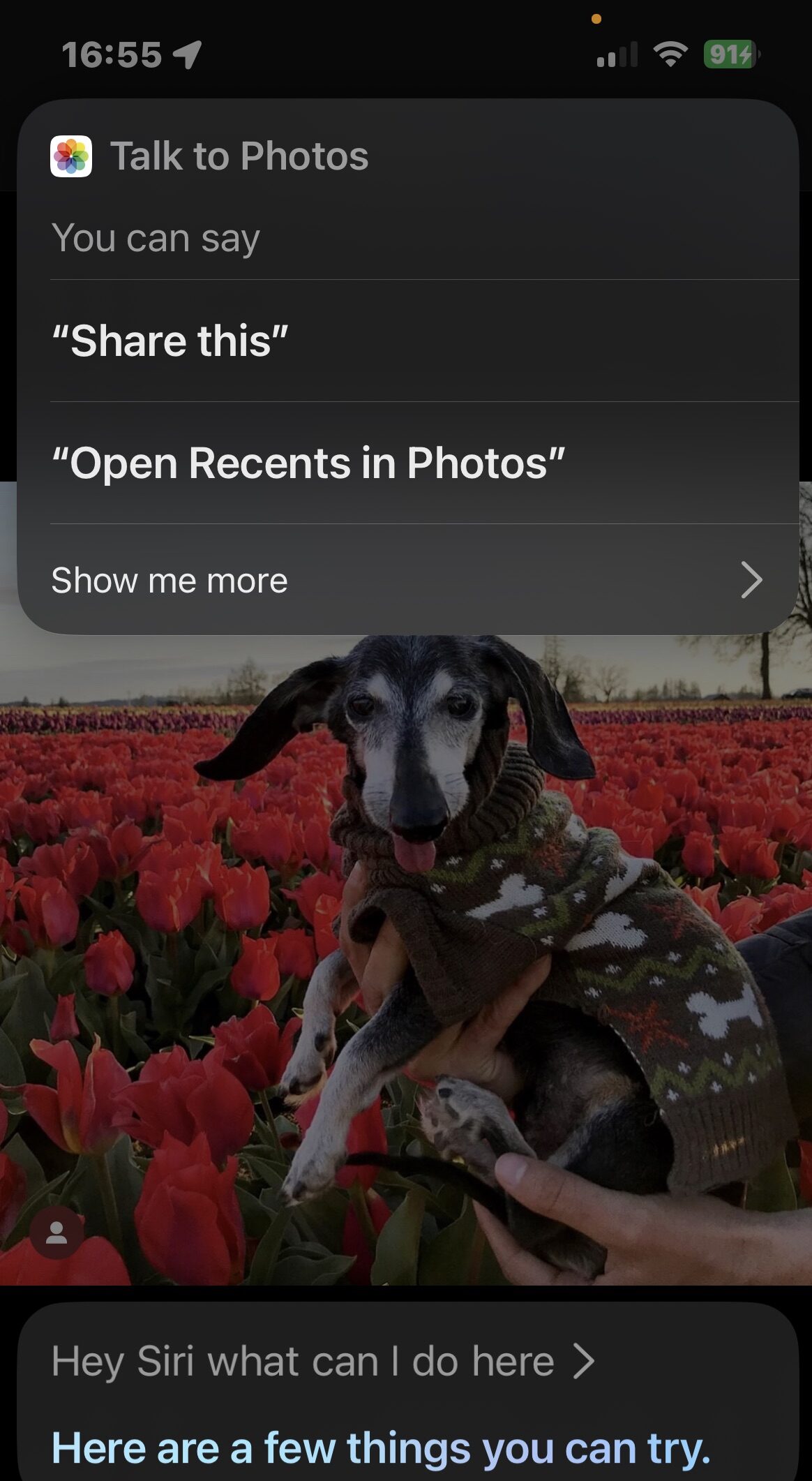 iOS Nechte si poradit od Siri 3