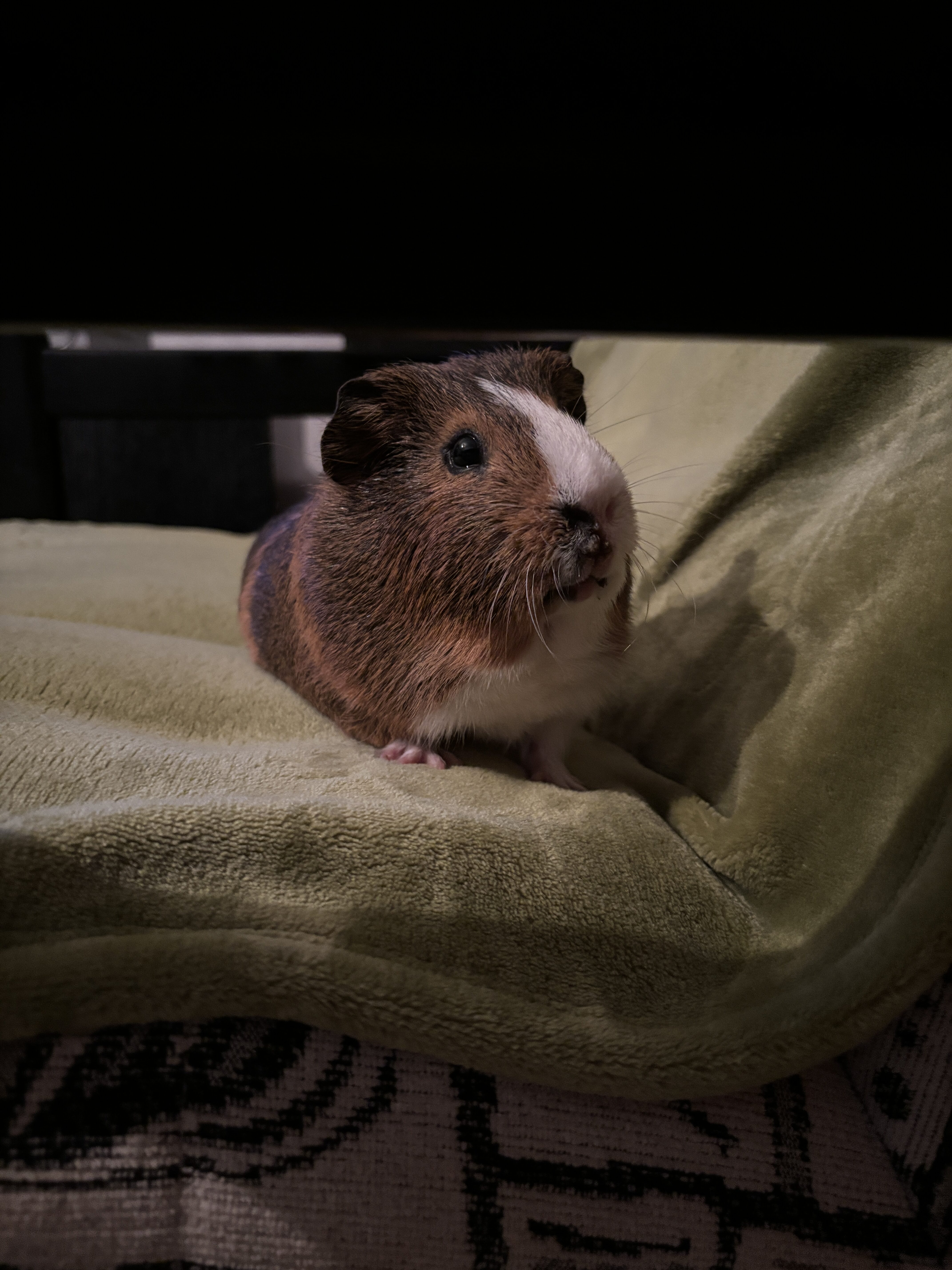 iPhone 15 foto den 8