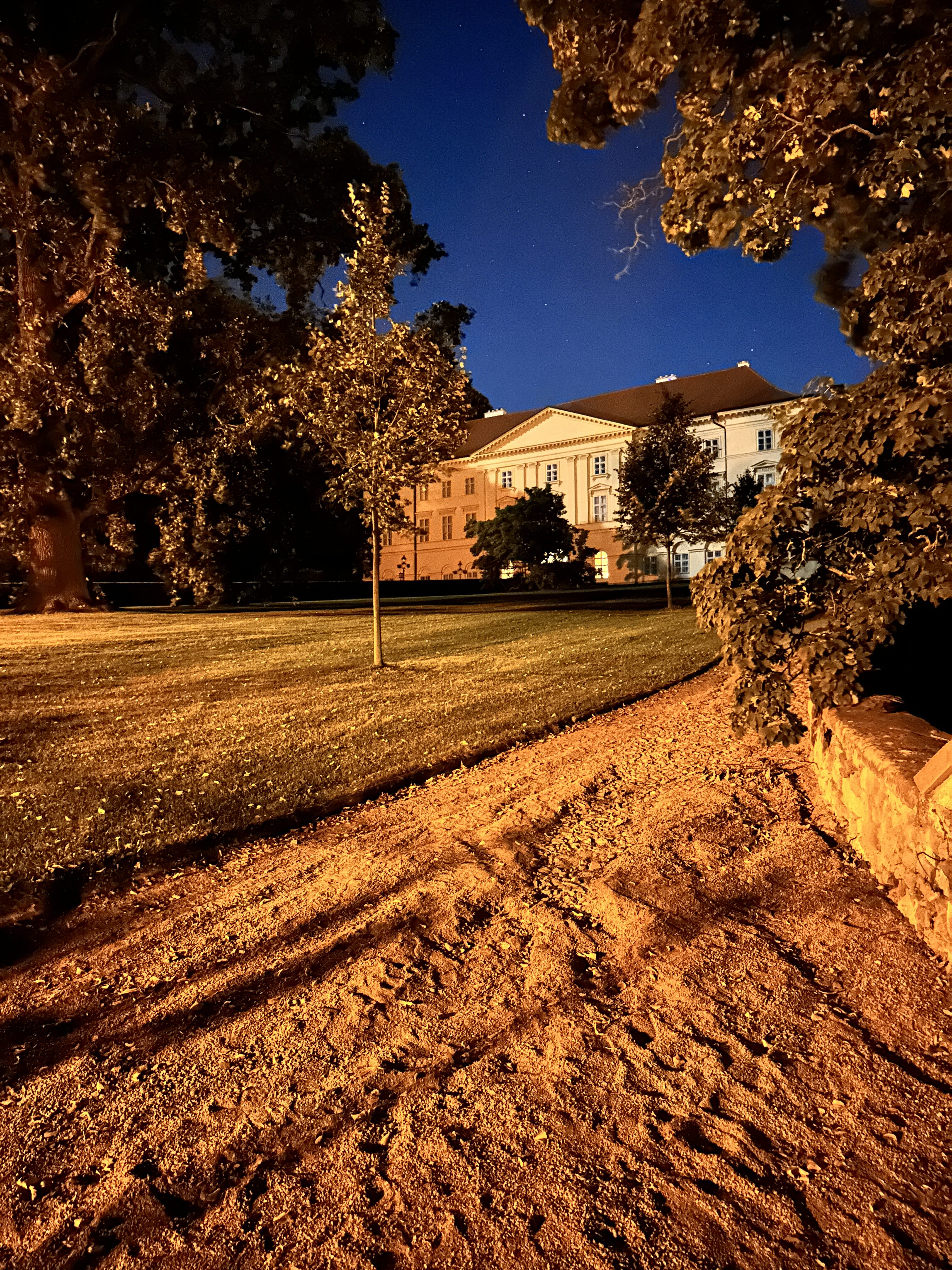 iphone 14 pro foto noc 9