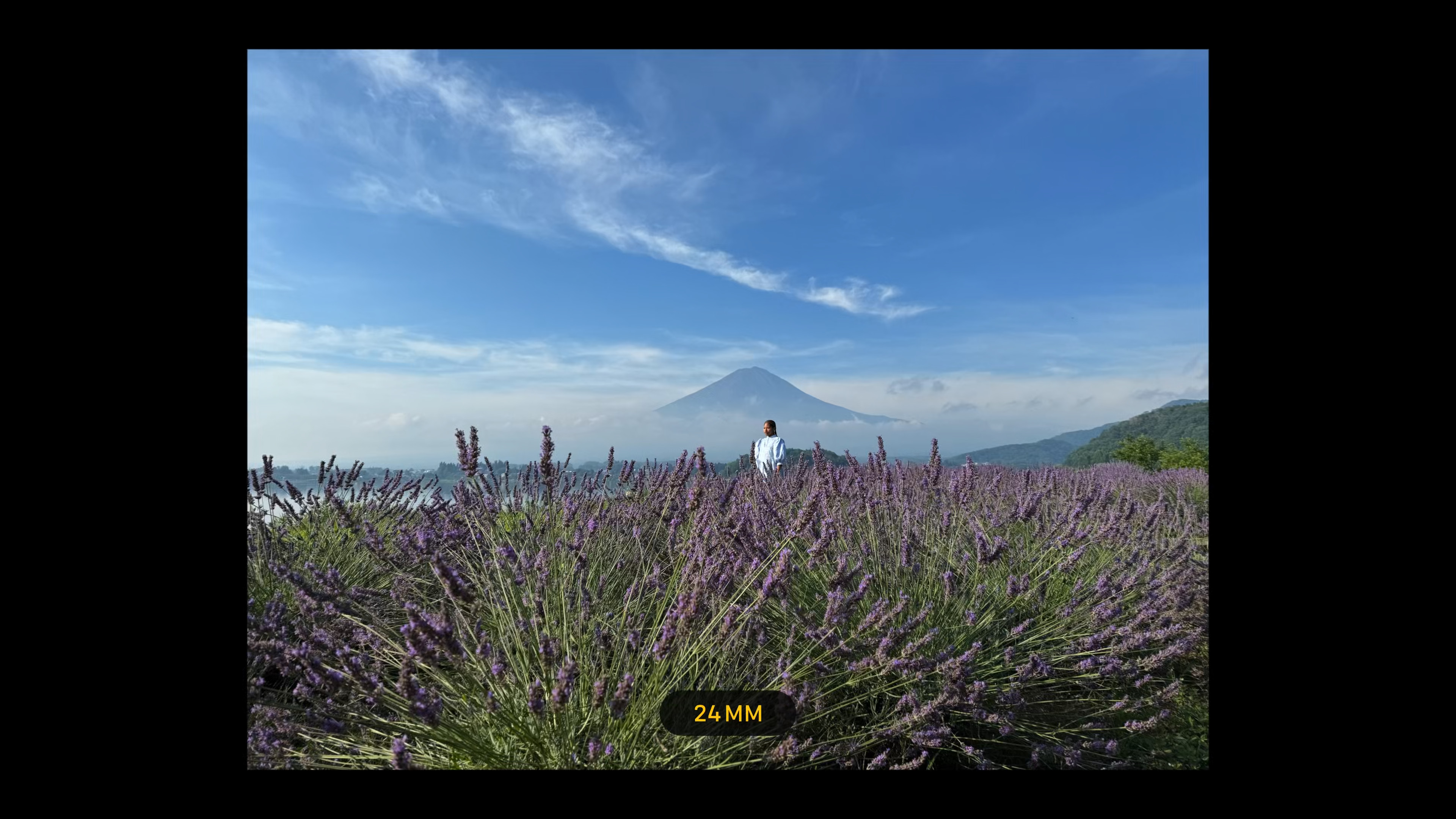 landscape with mountain and lavender 24mm