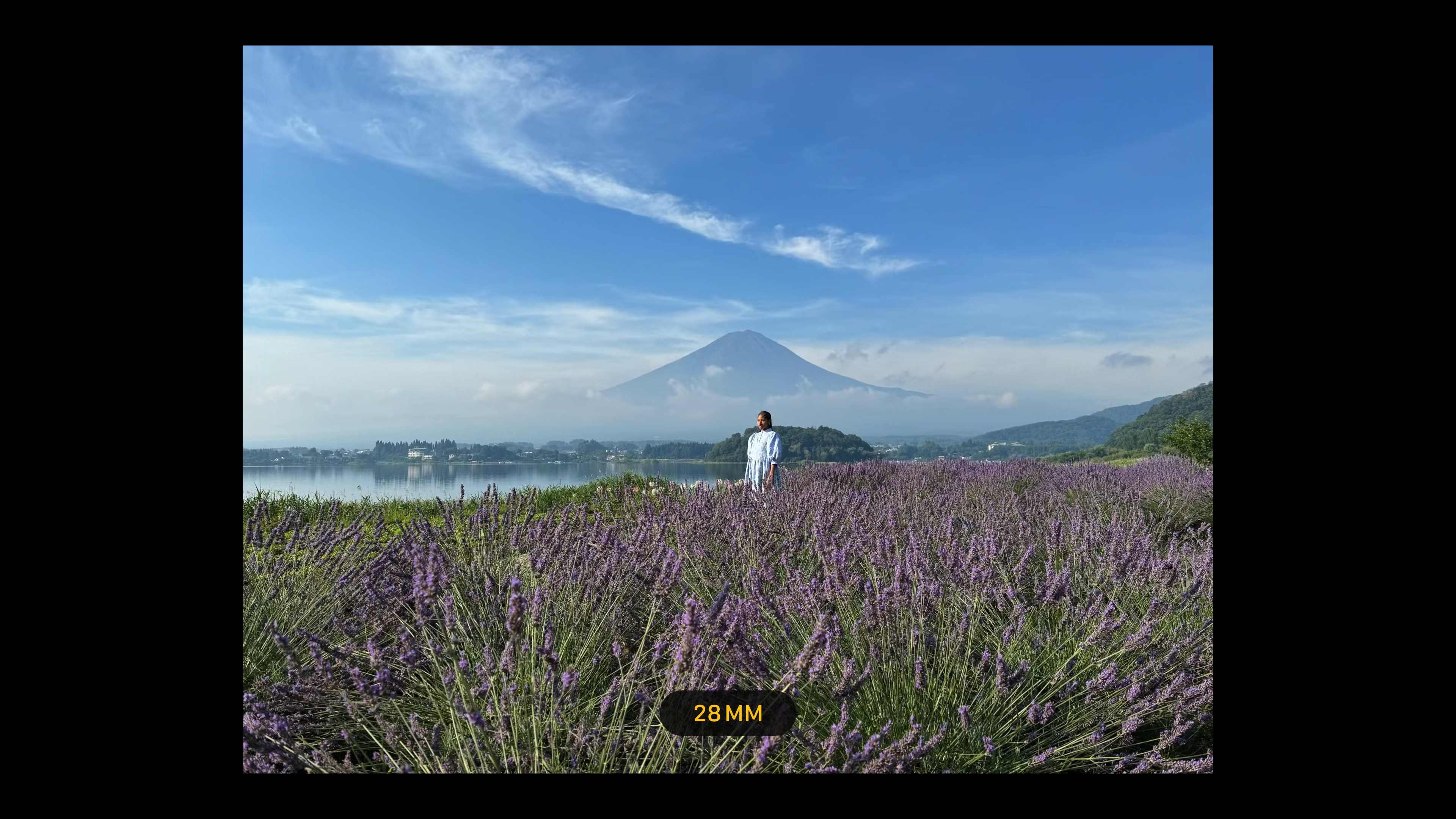 landscape with mountain and lavender 28mm