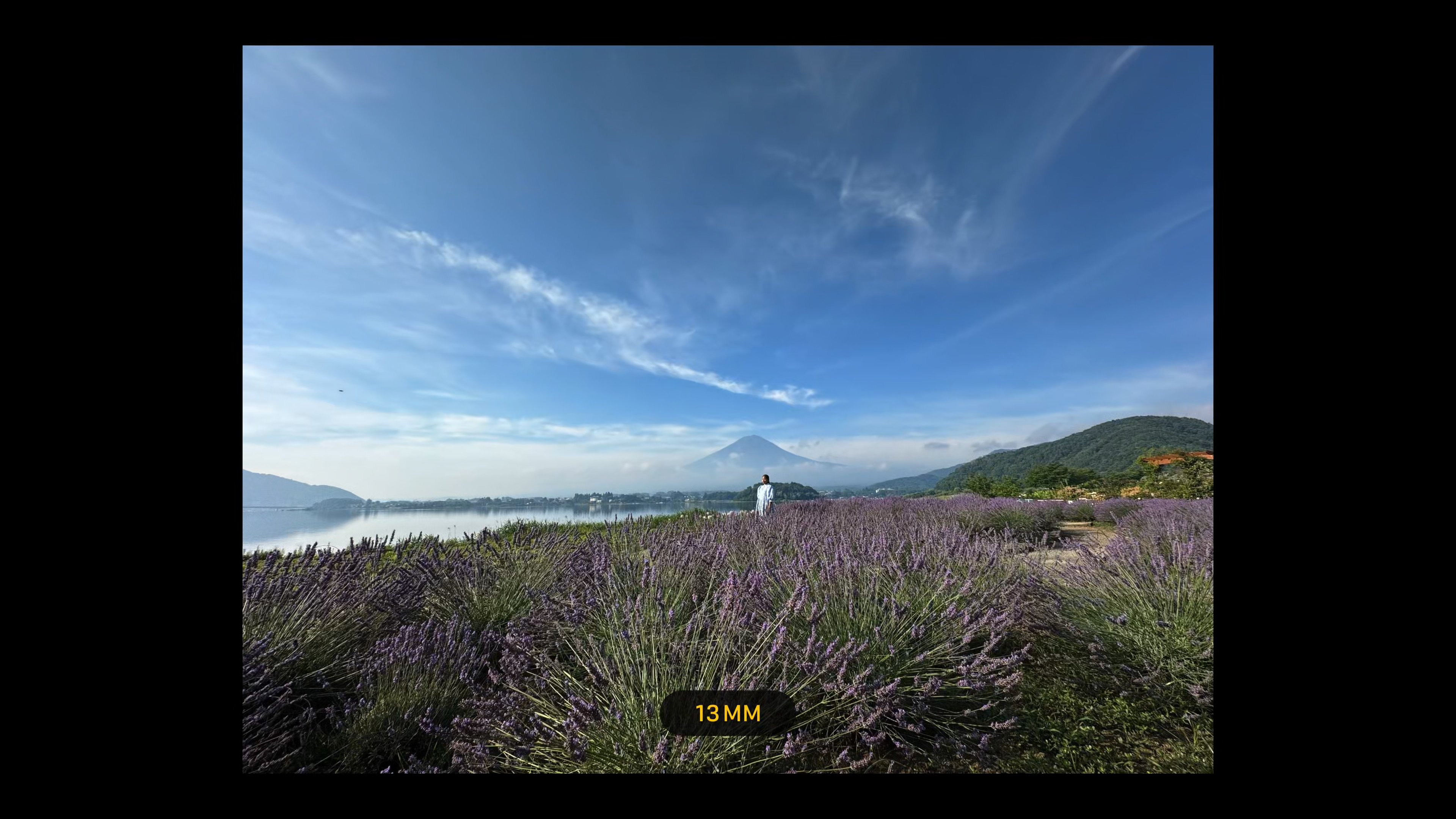 landscape with mountain and lavender