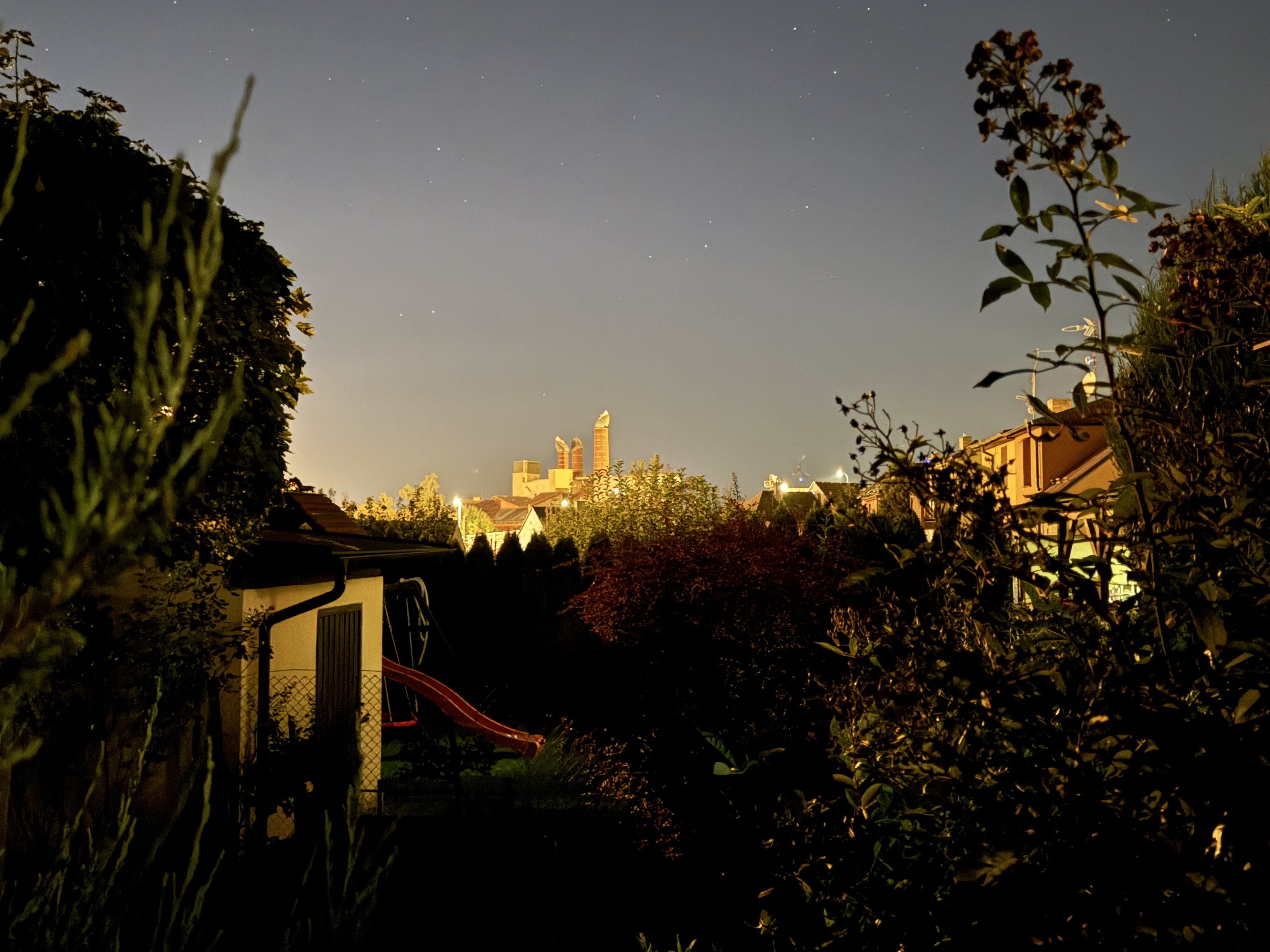night garden landscape