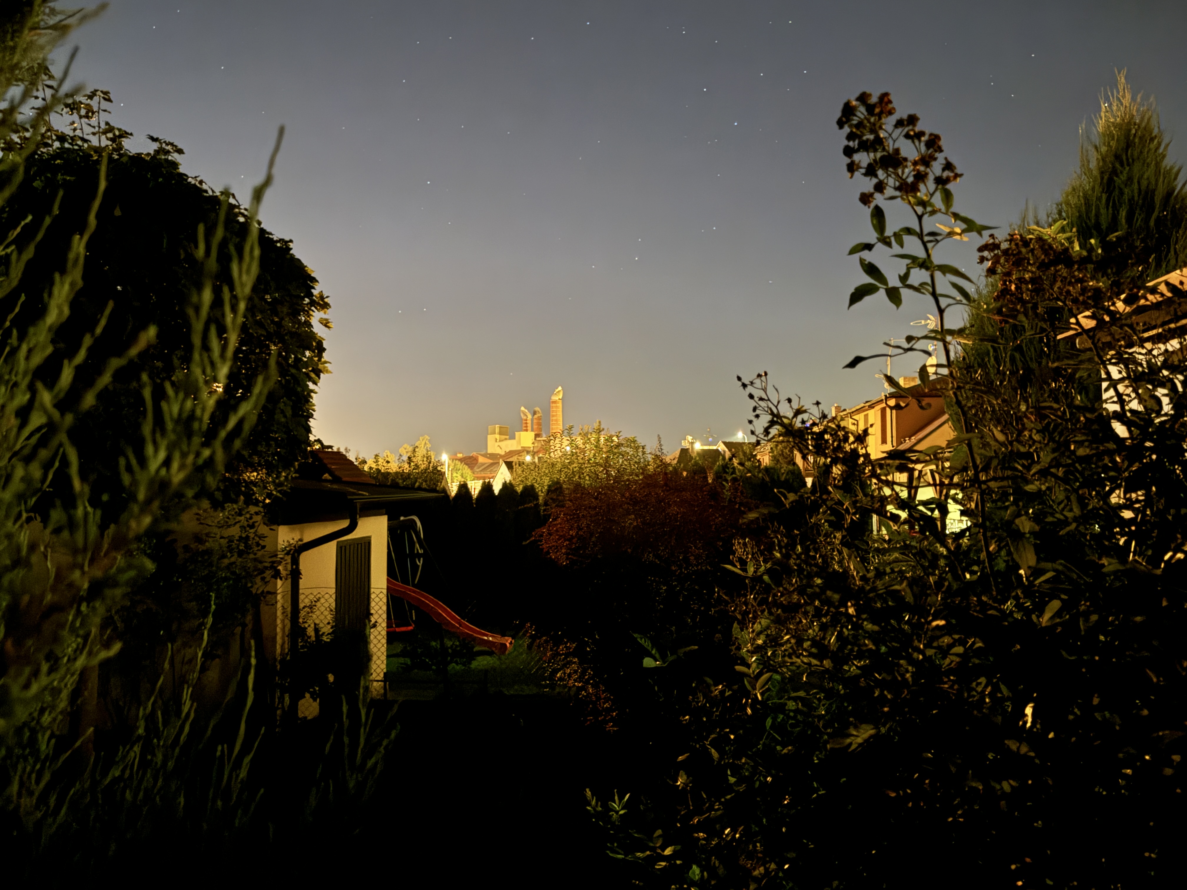 night garden with stars