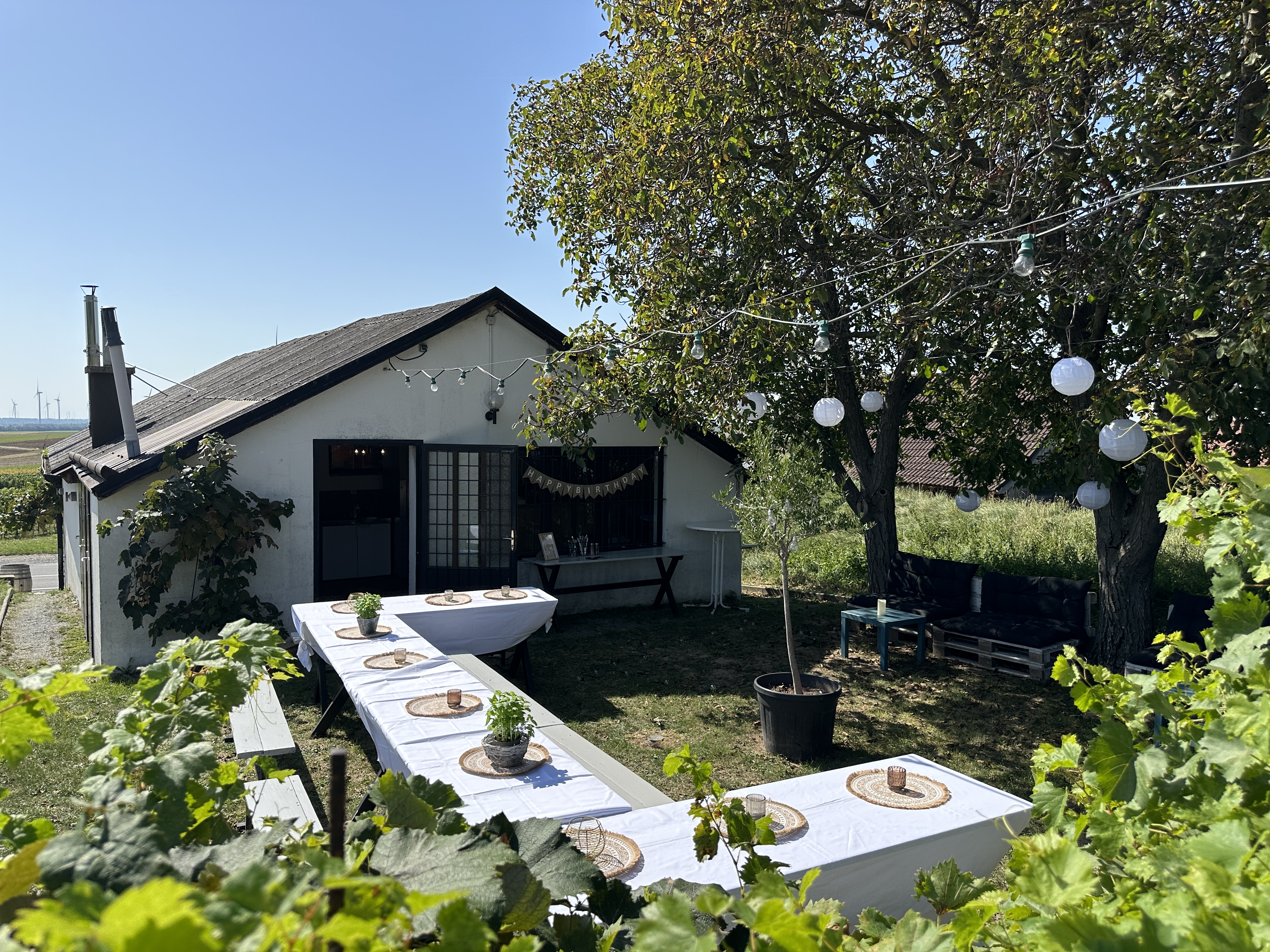 outdoor dining setup