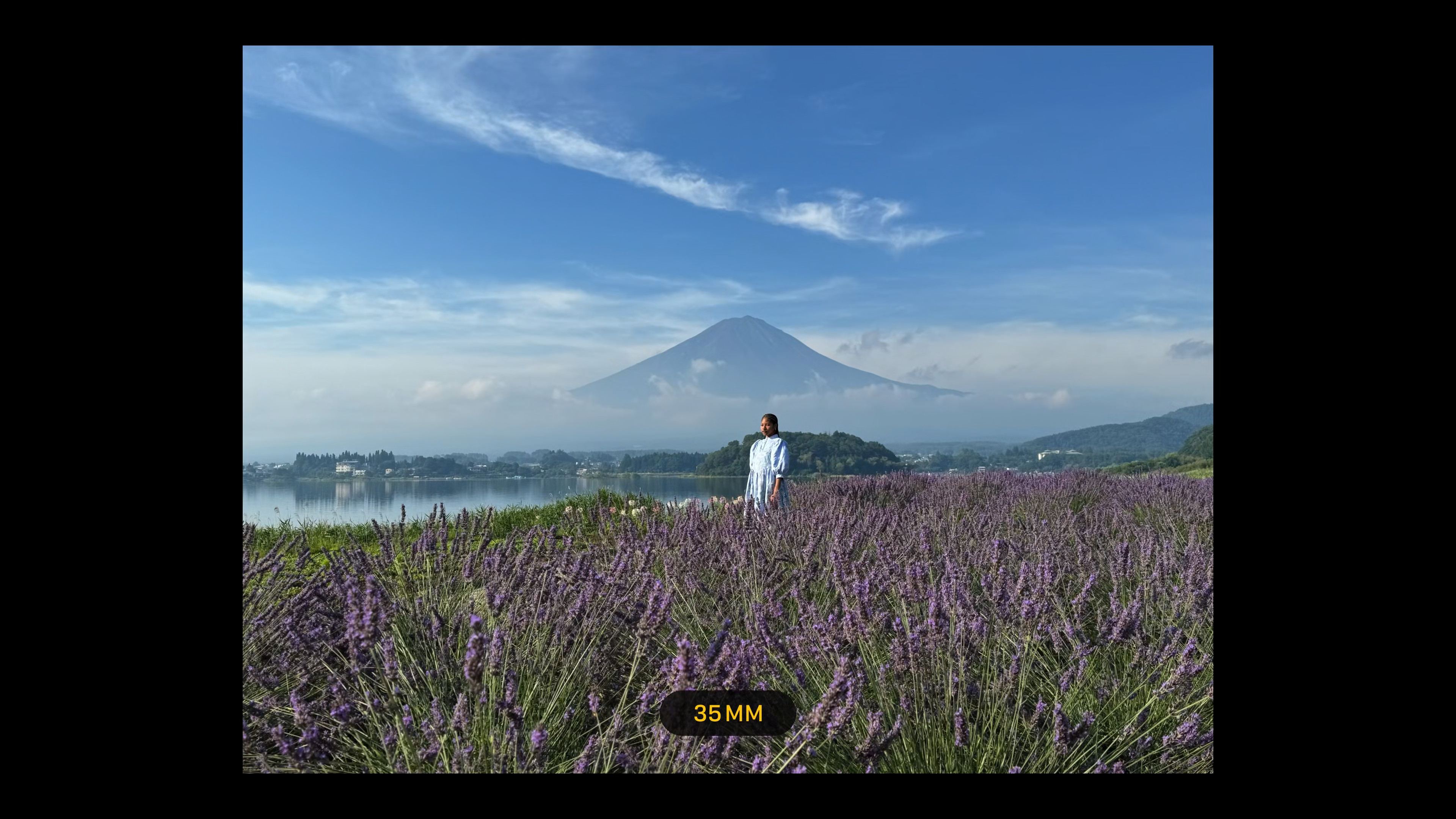 person in lavender field with mountain