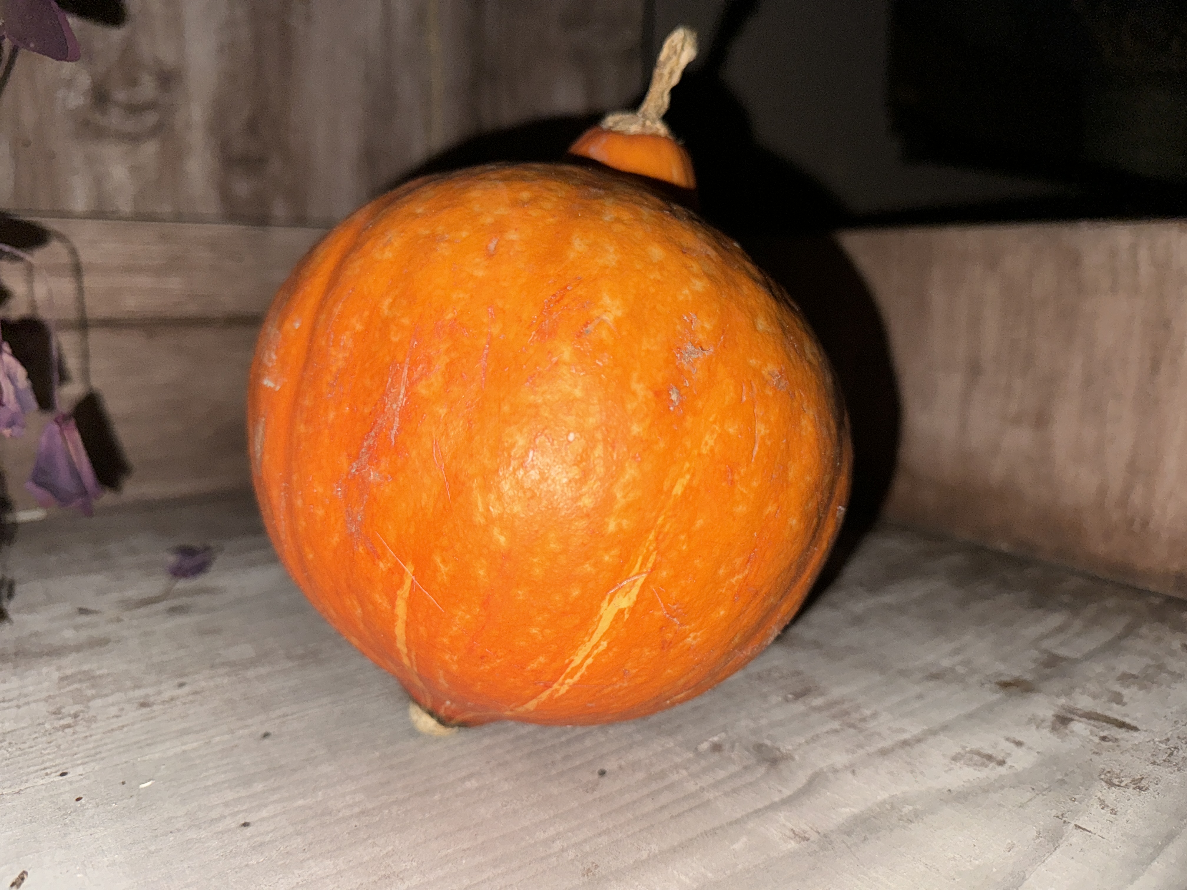 pumpkin on wooden surface