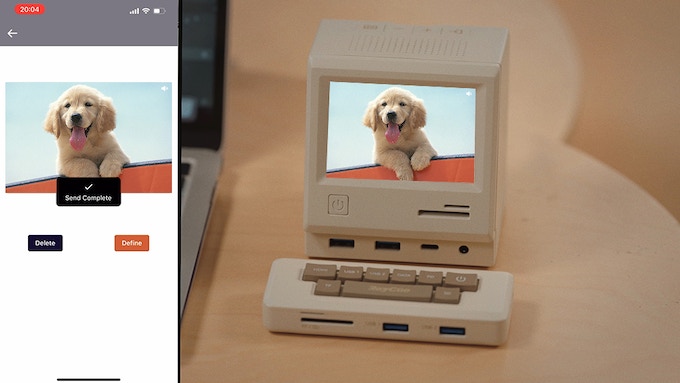 retro desktop with dog image