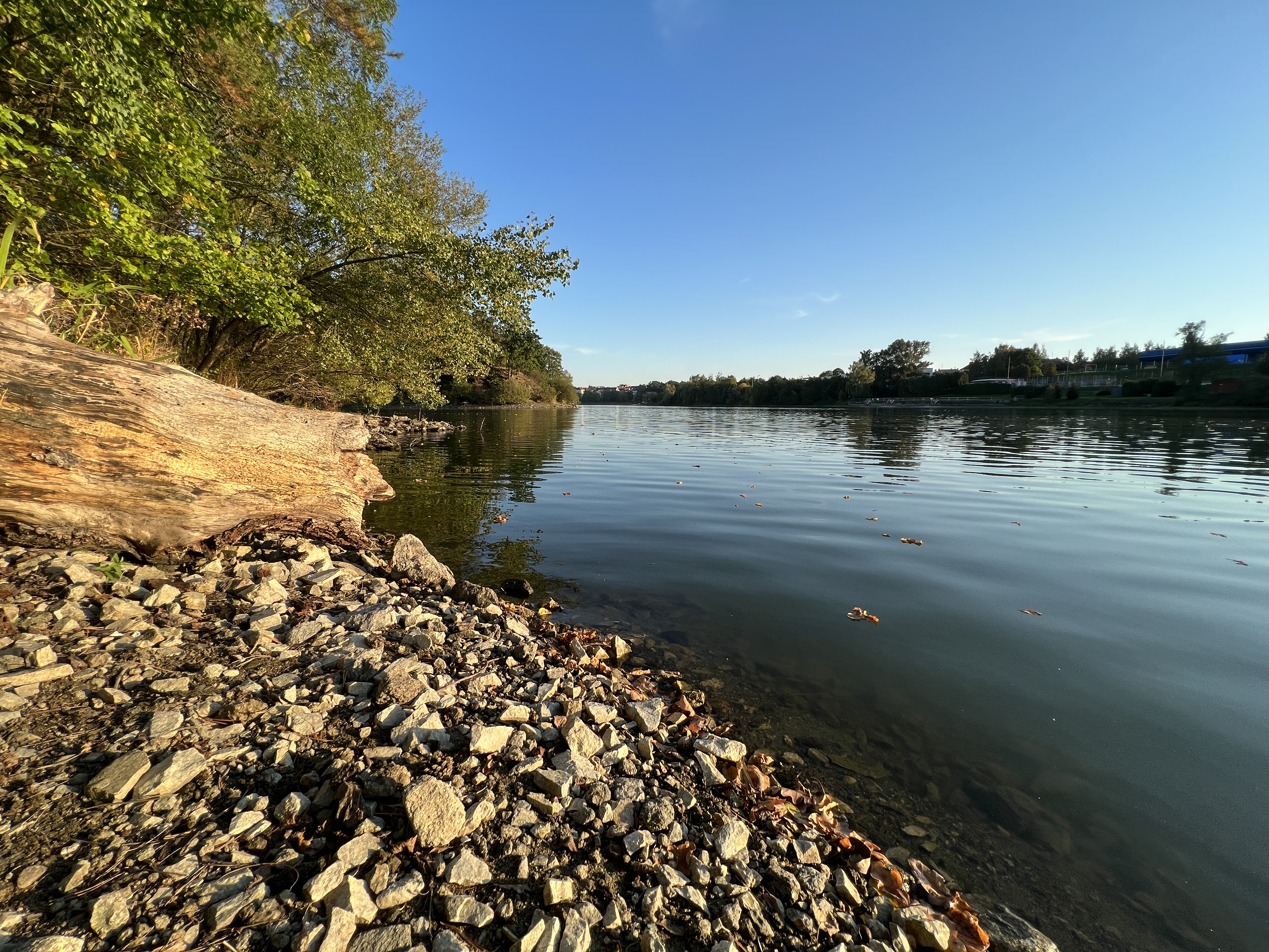 rocky riverbank trees