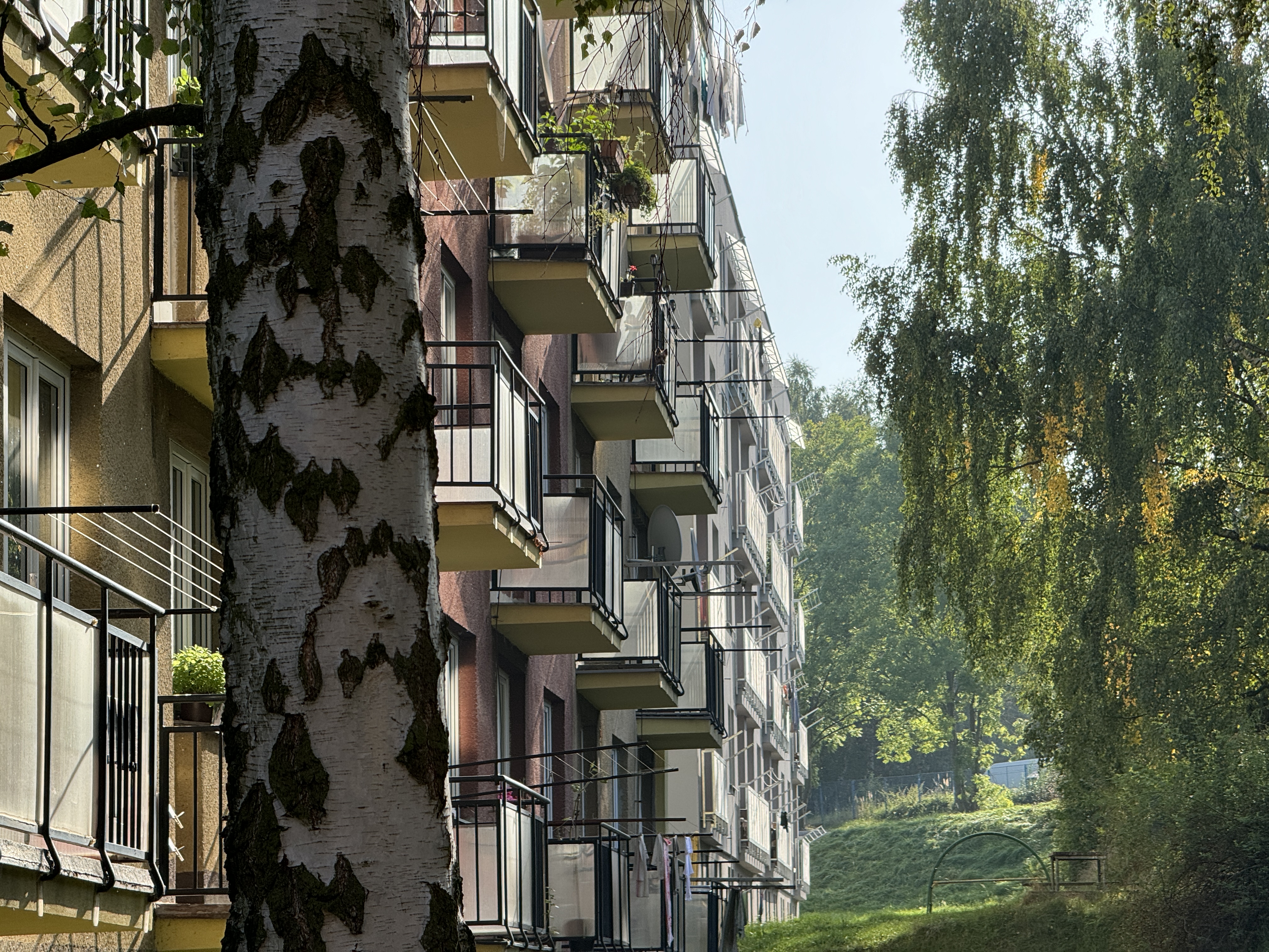 satellite dishes apartment