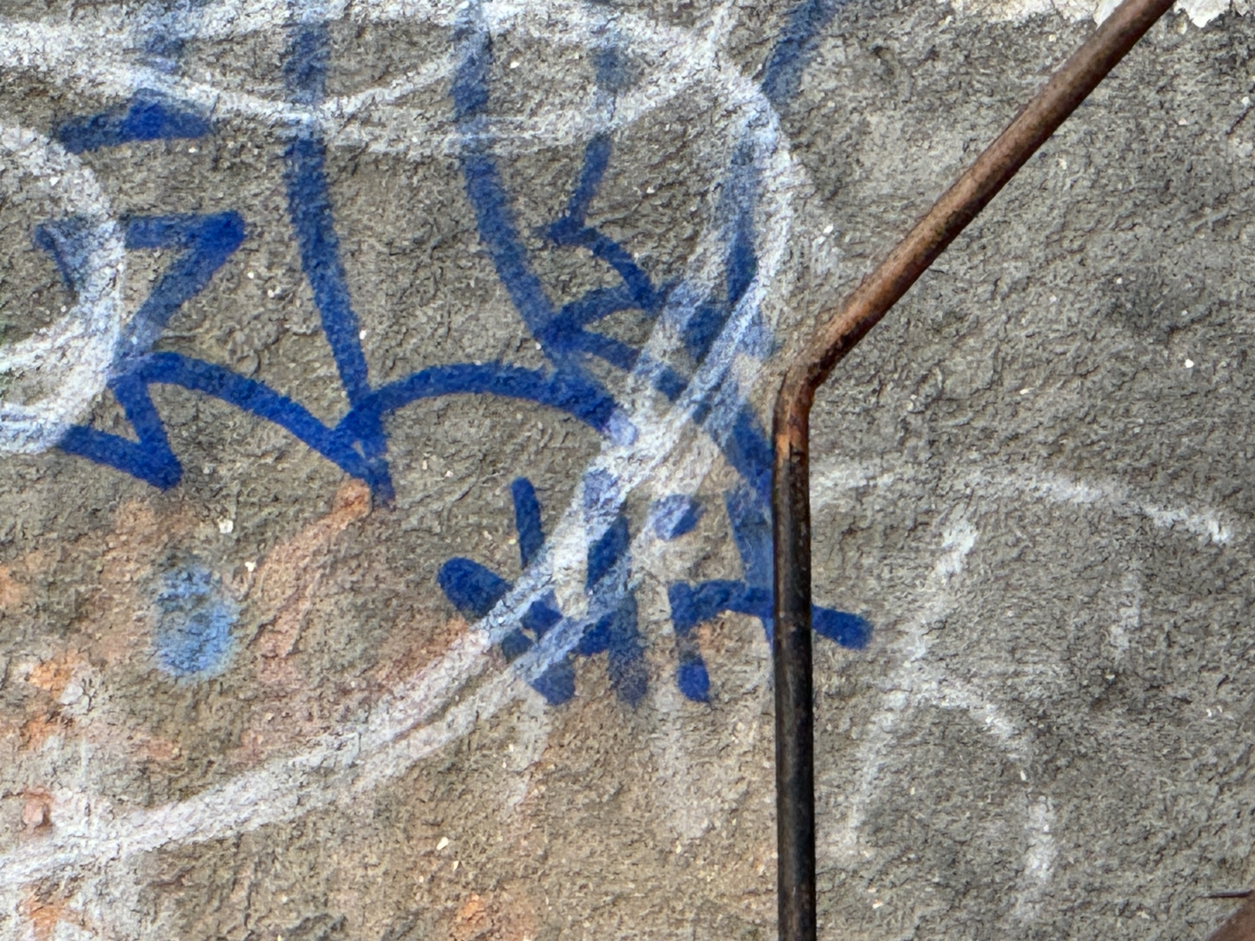 sunset garden silhouette