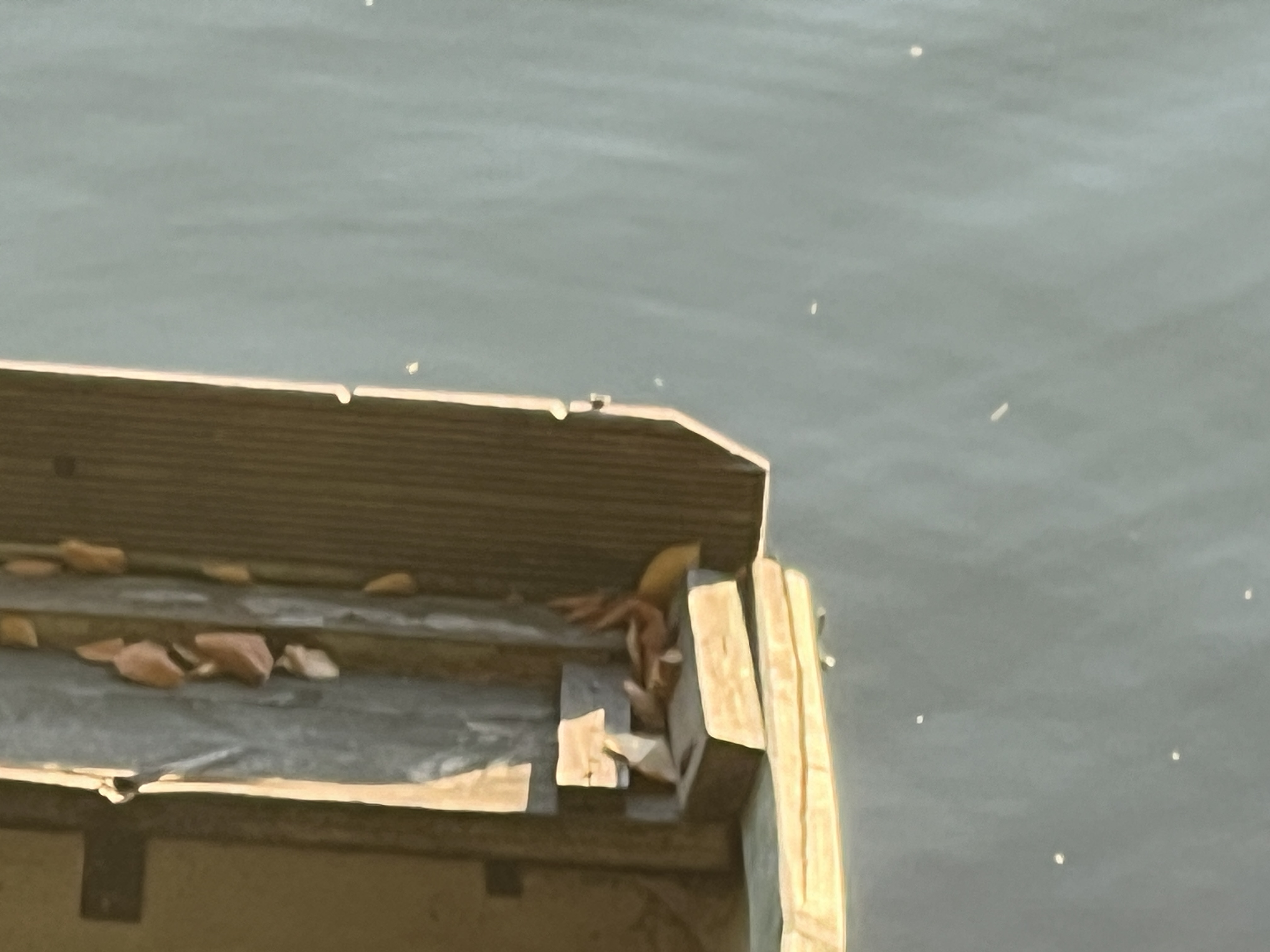 wooden boat on water