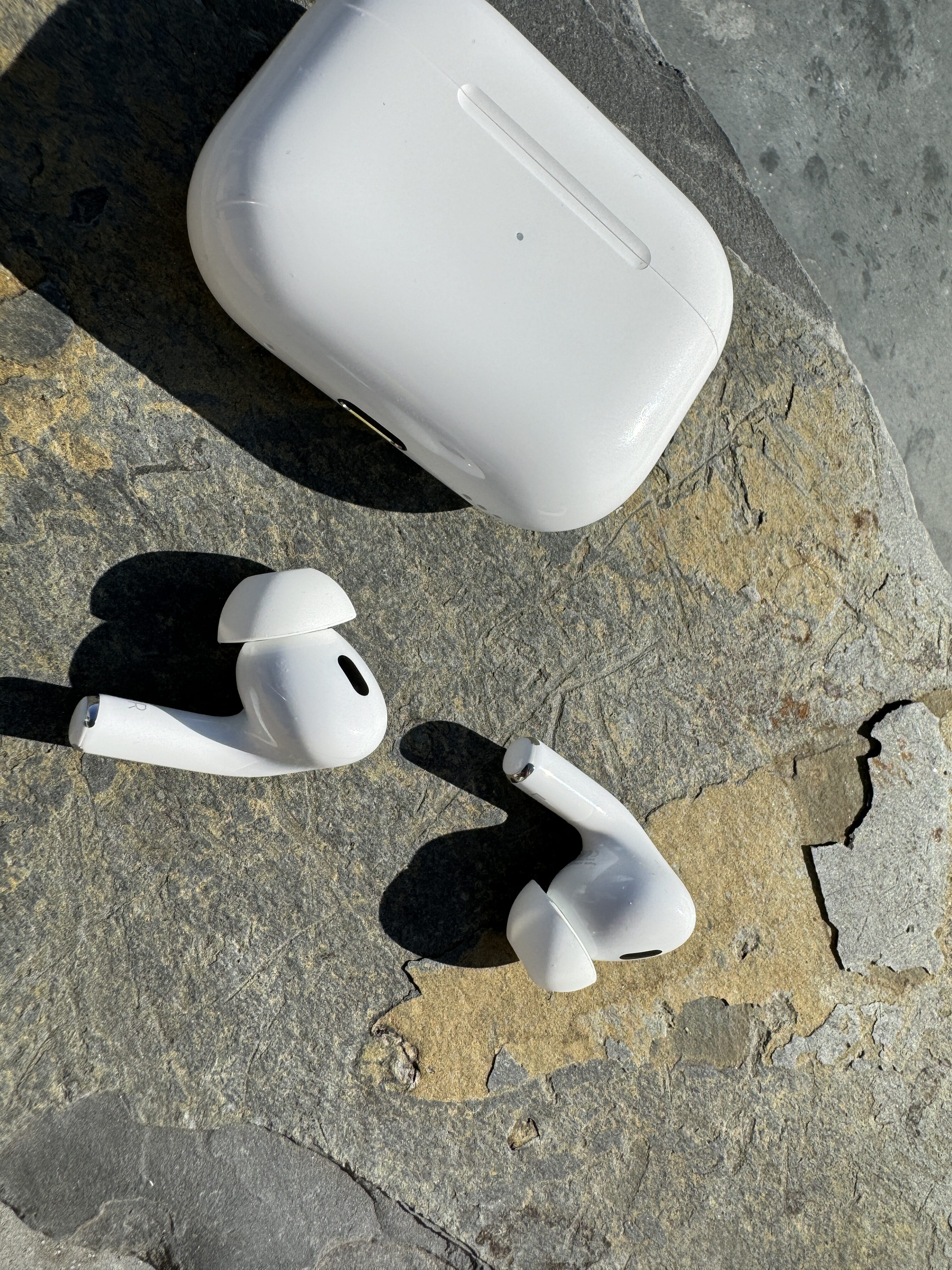 earbuds and case on rock