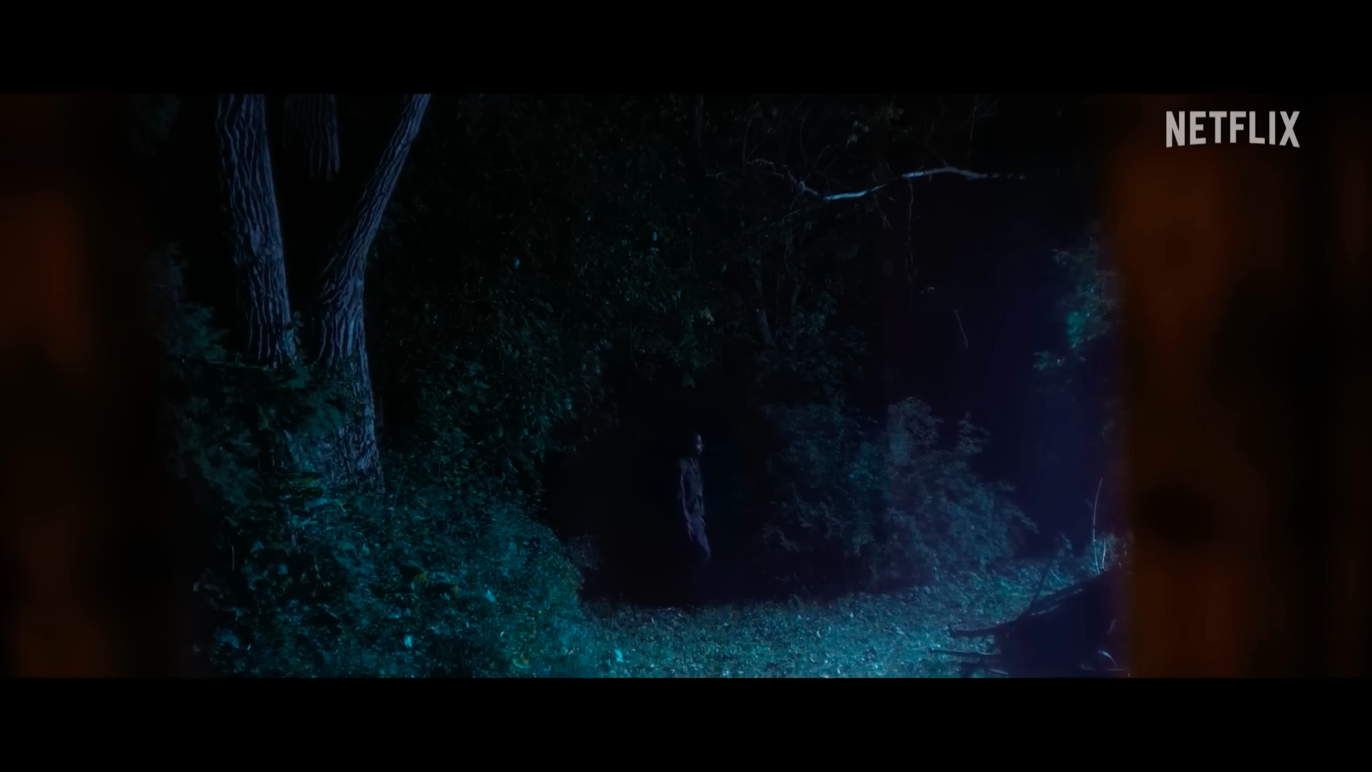 forest scene at night