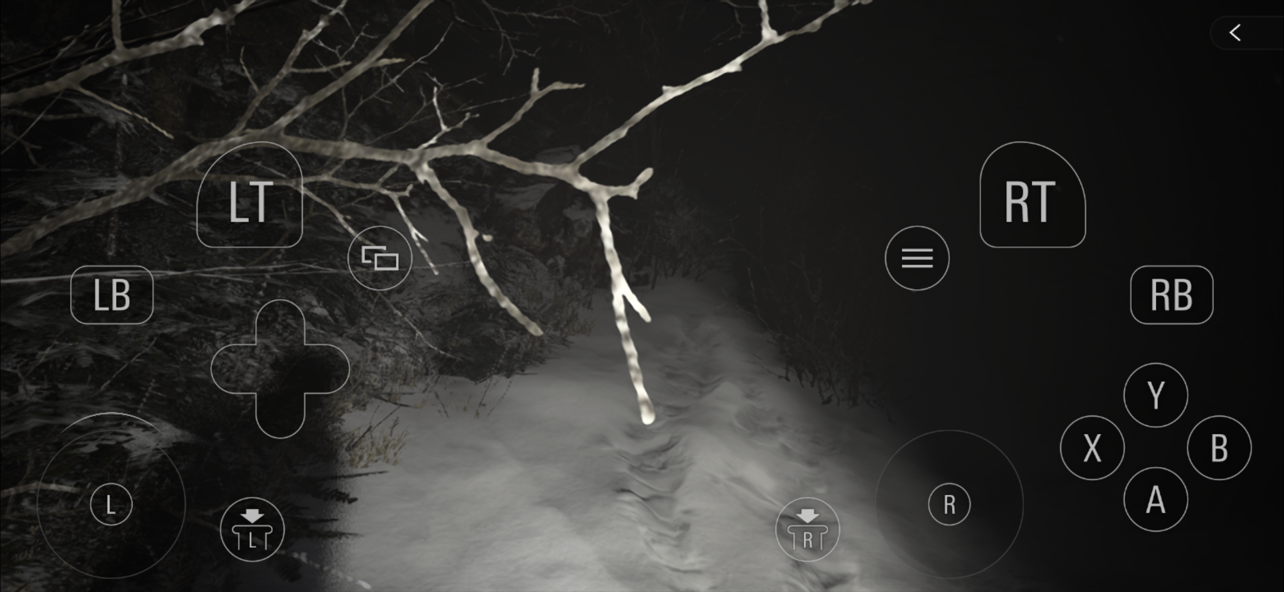 snowy path with branches