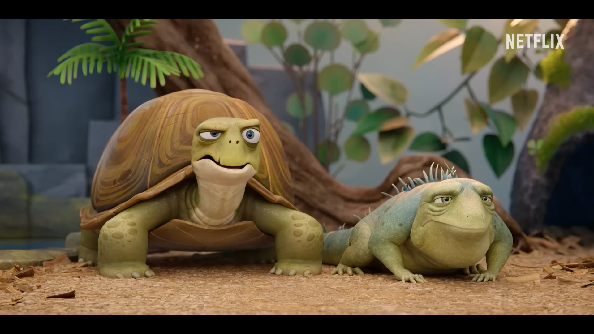 animated turtle and iguana