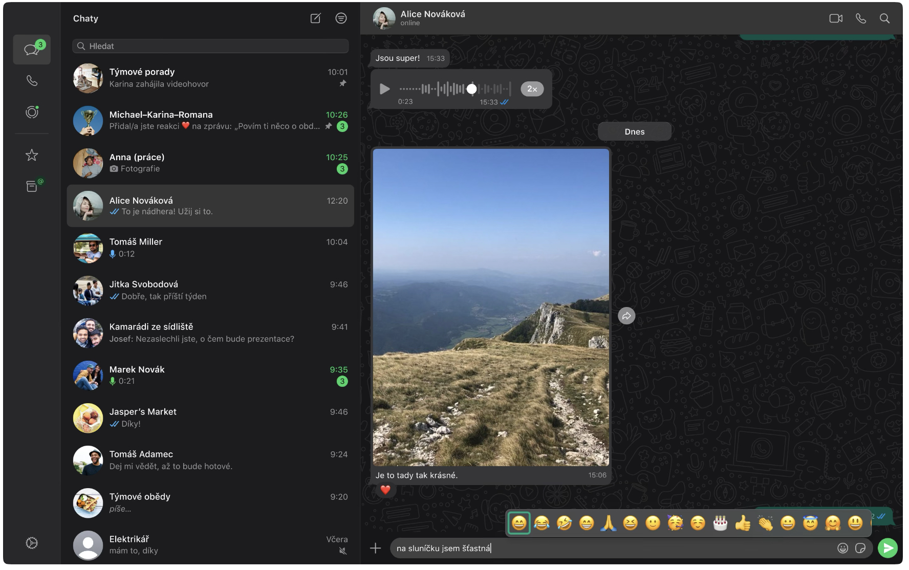 chat interface with image