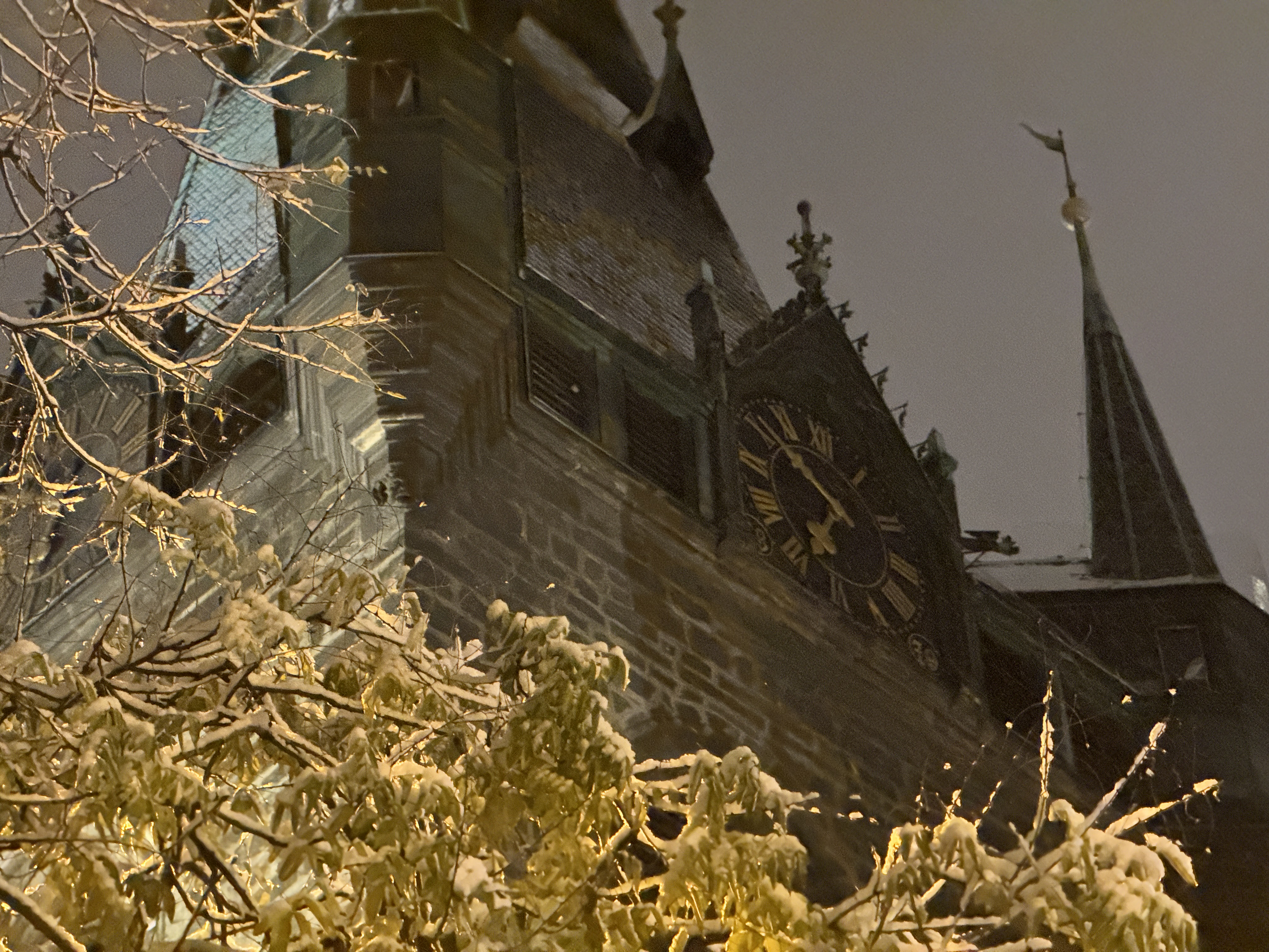 clock tower snowy trees night