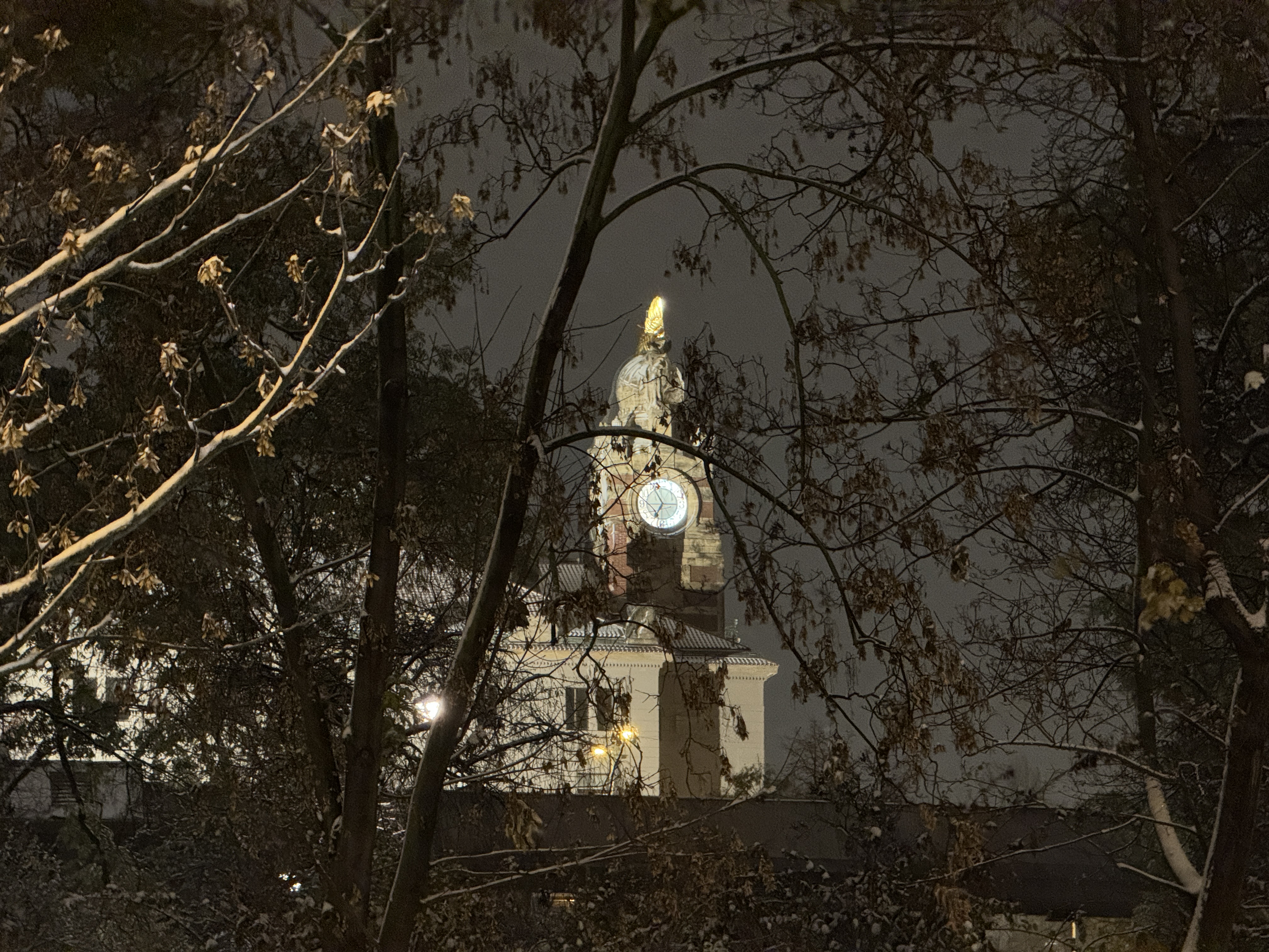 clock tower trees night