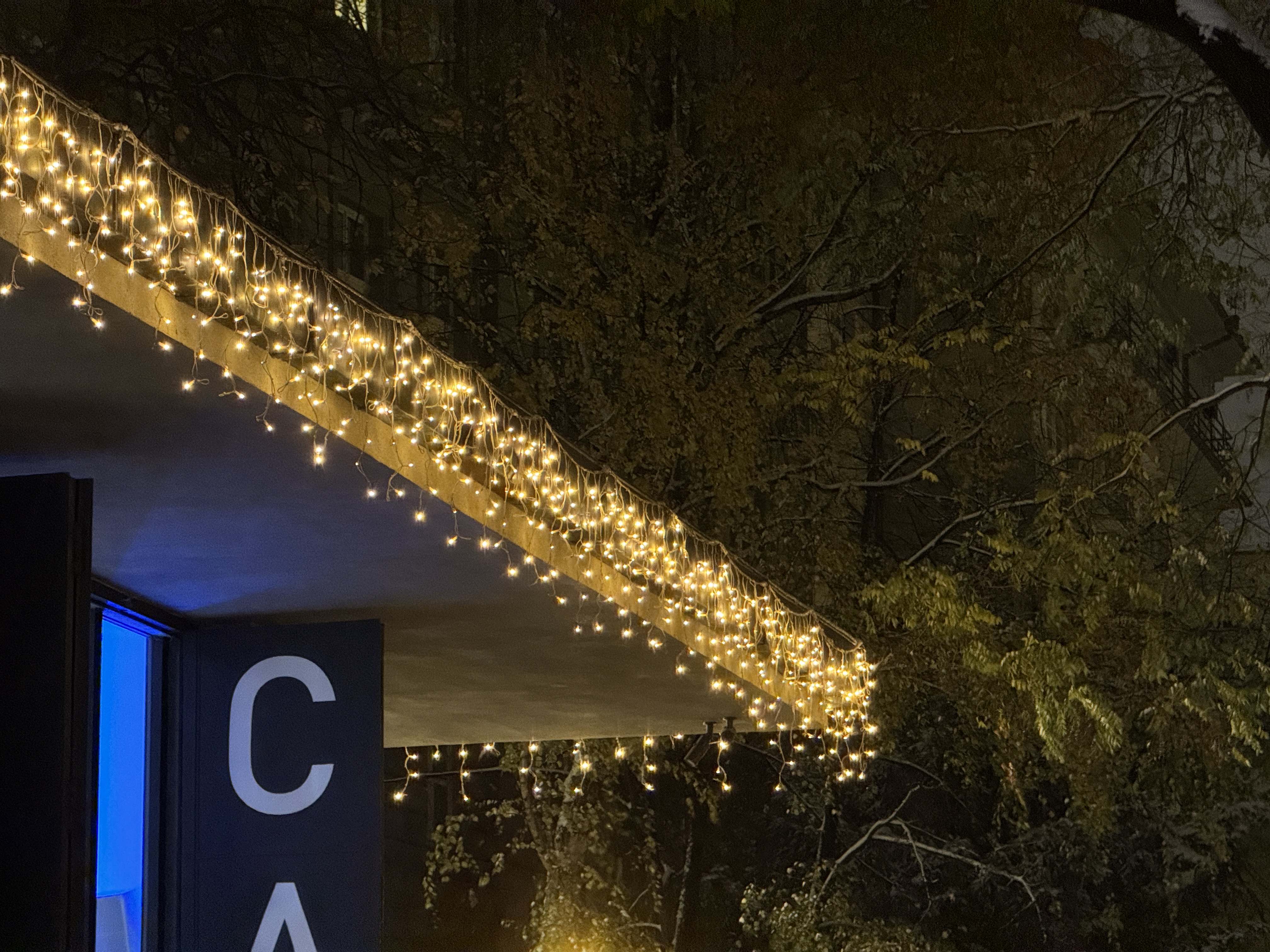 festive lights cafe night