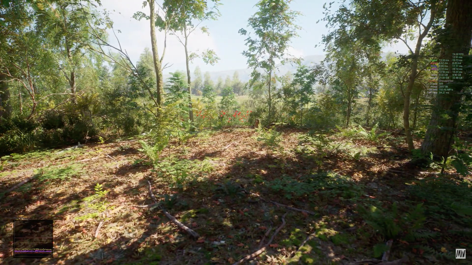 forest scenery daytime