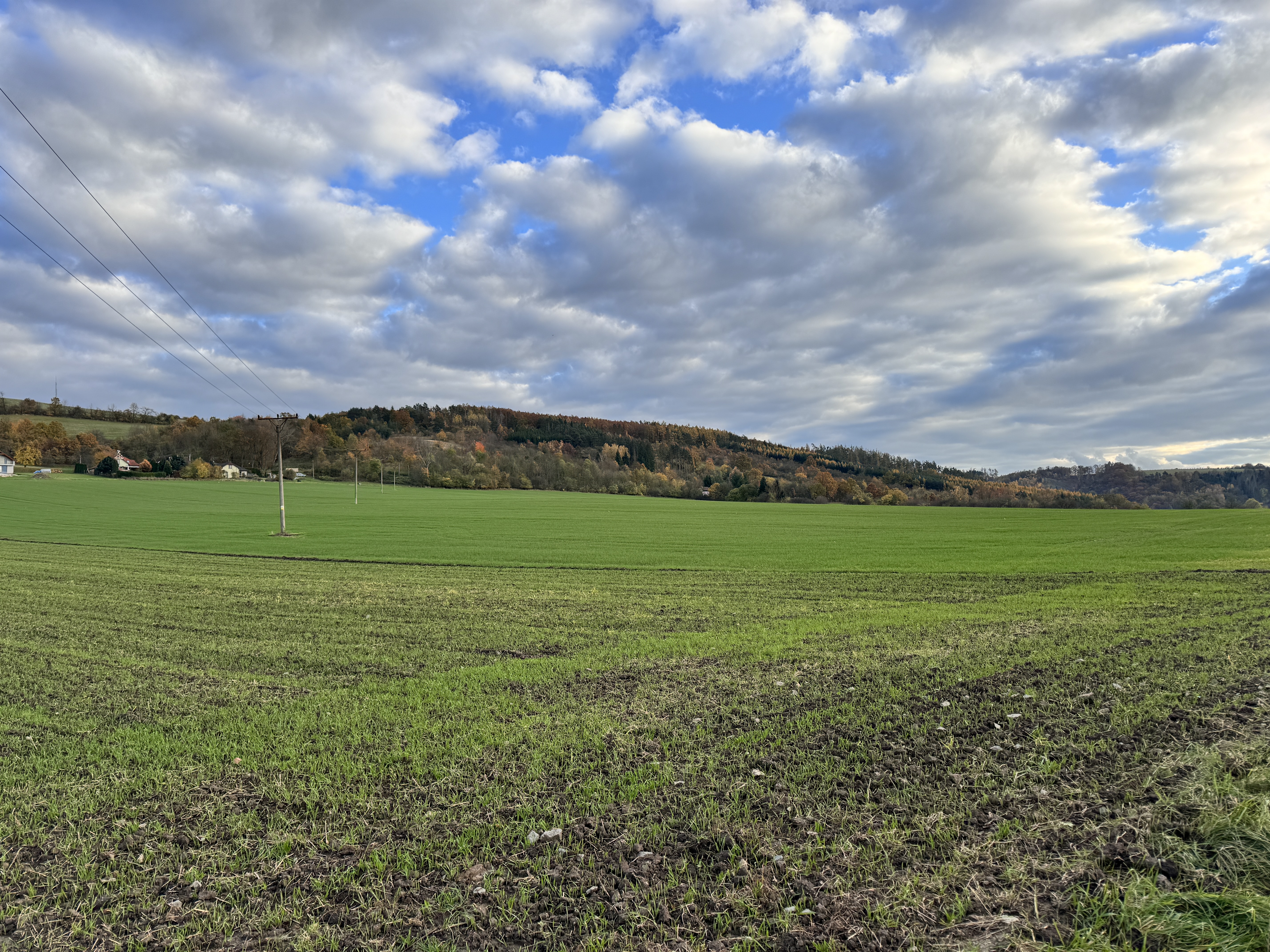 green field under clouds