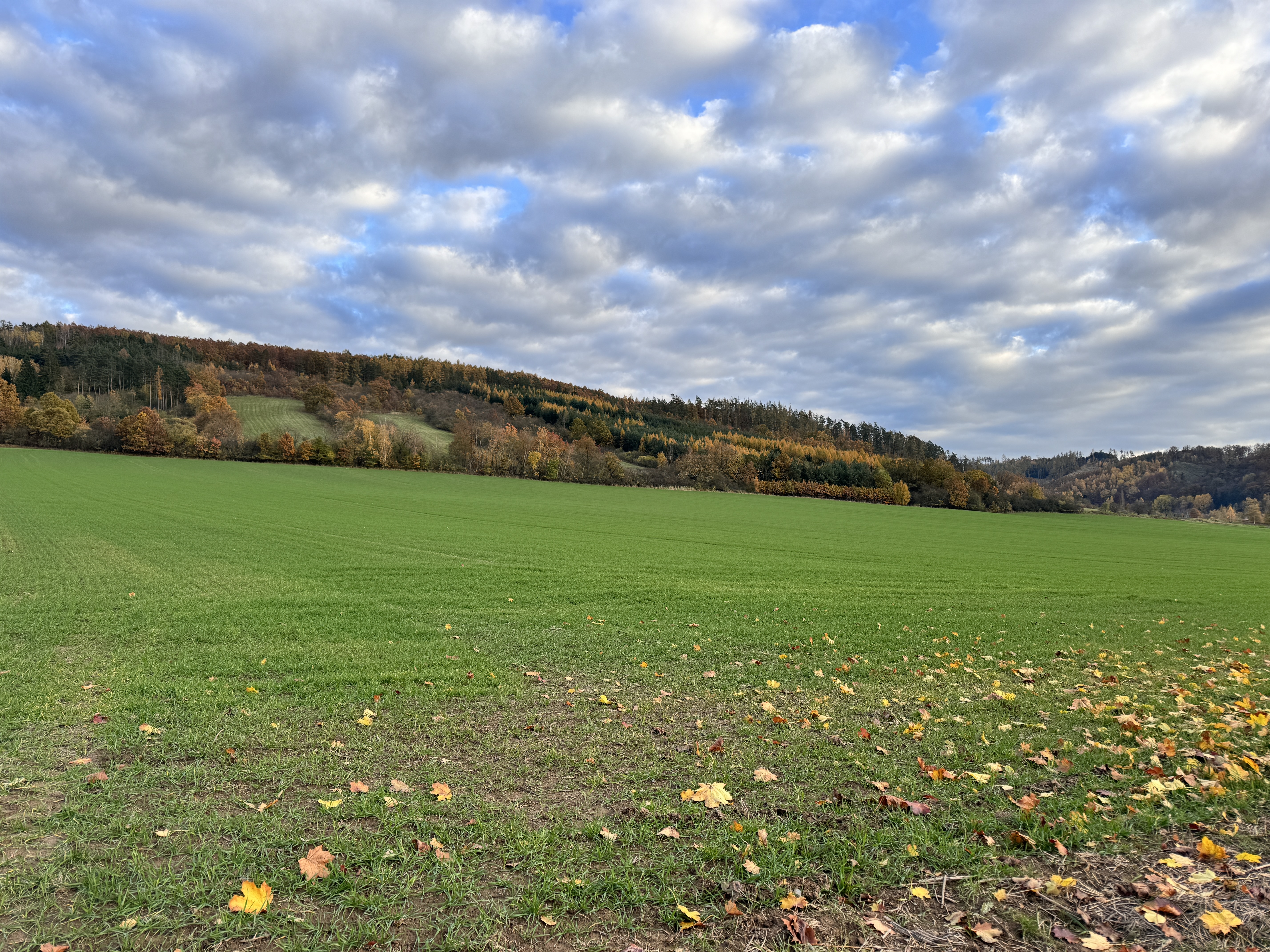 green field with hills