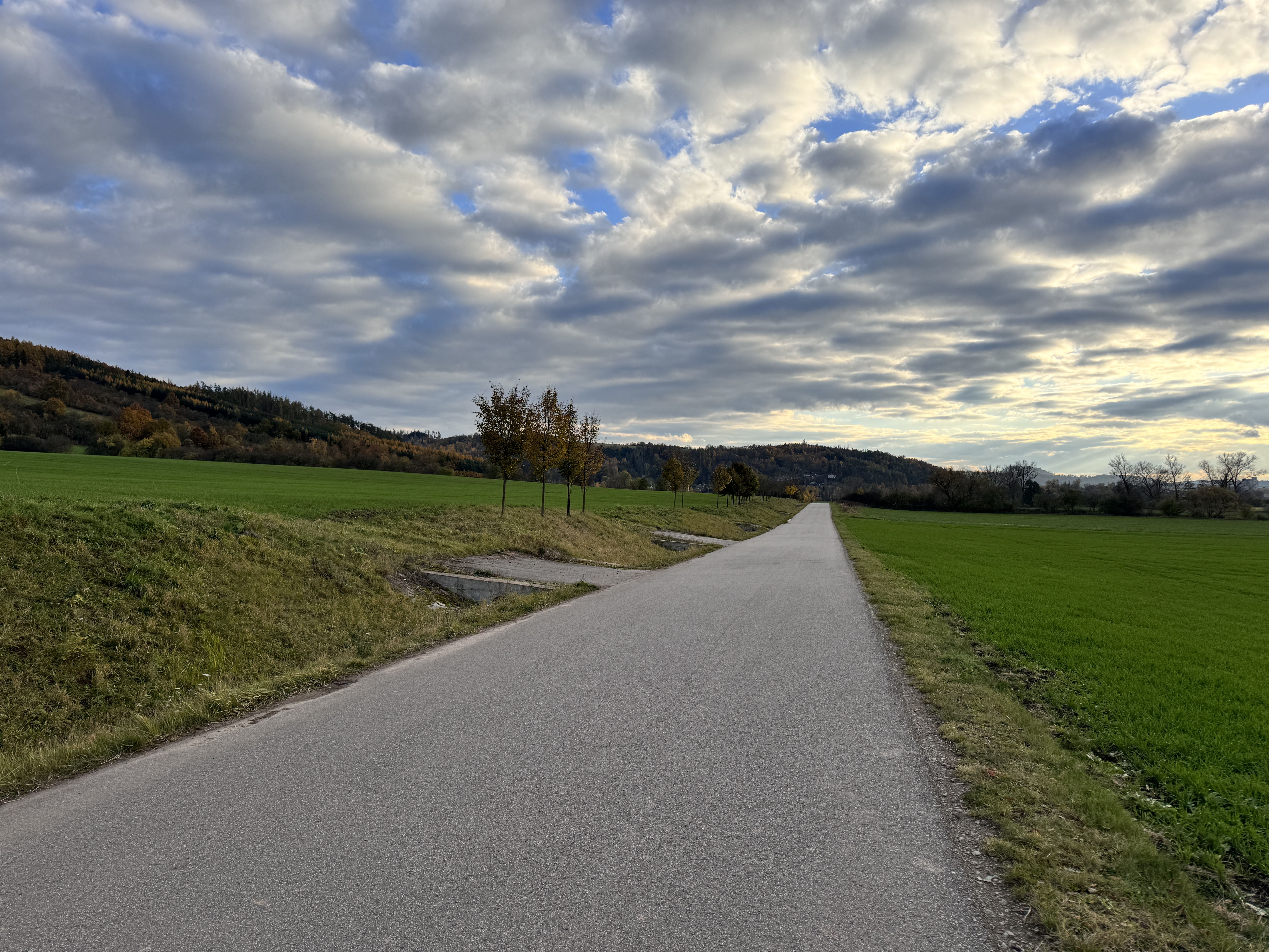 long road through fields