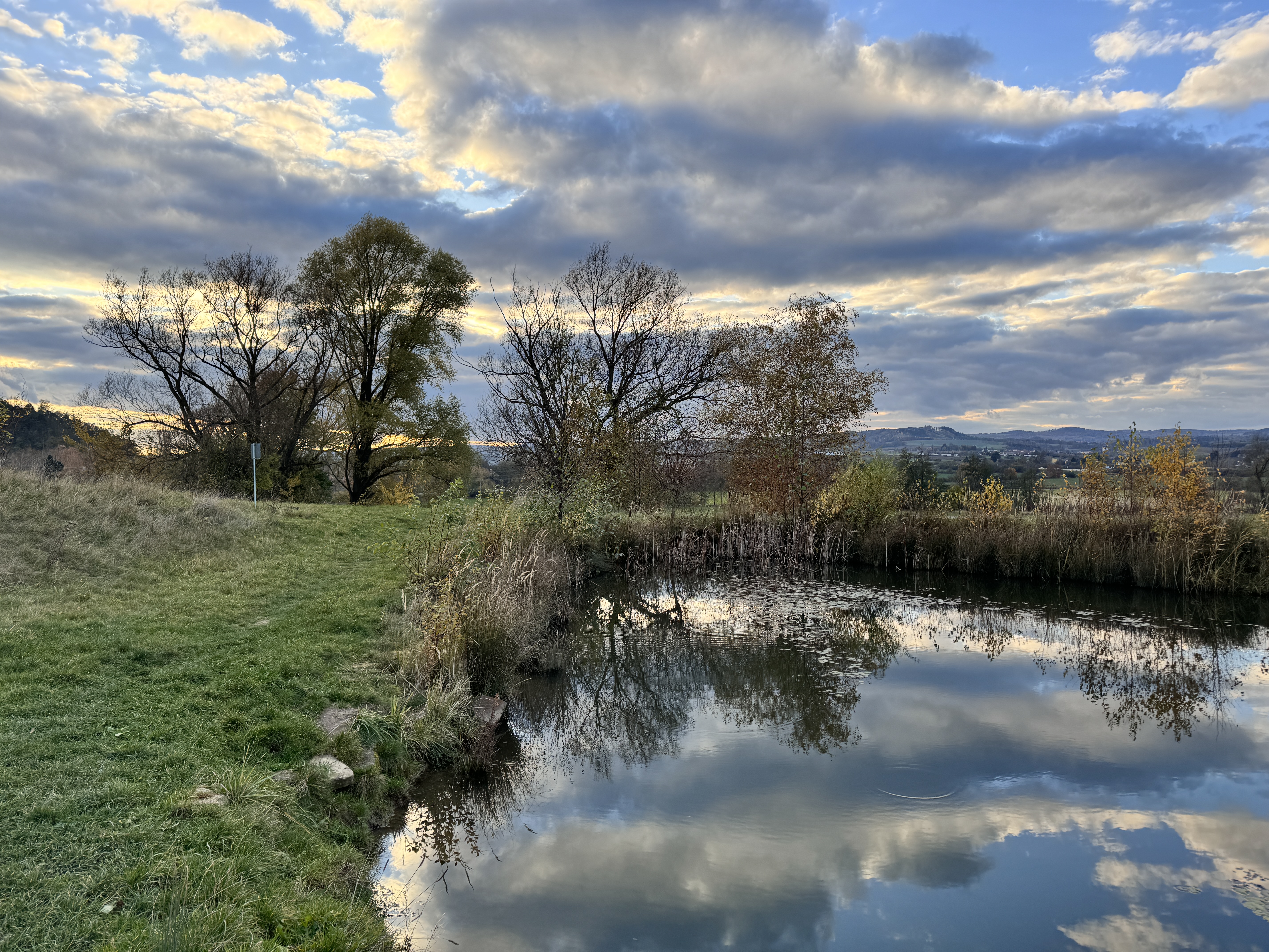 pond with trees reflection